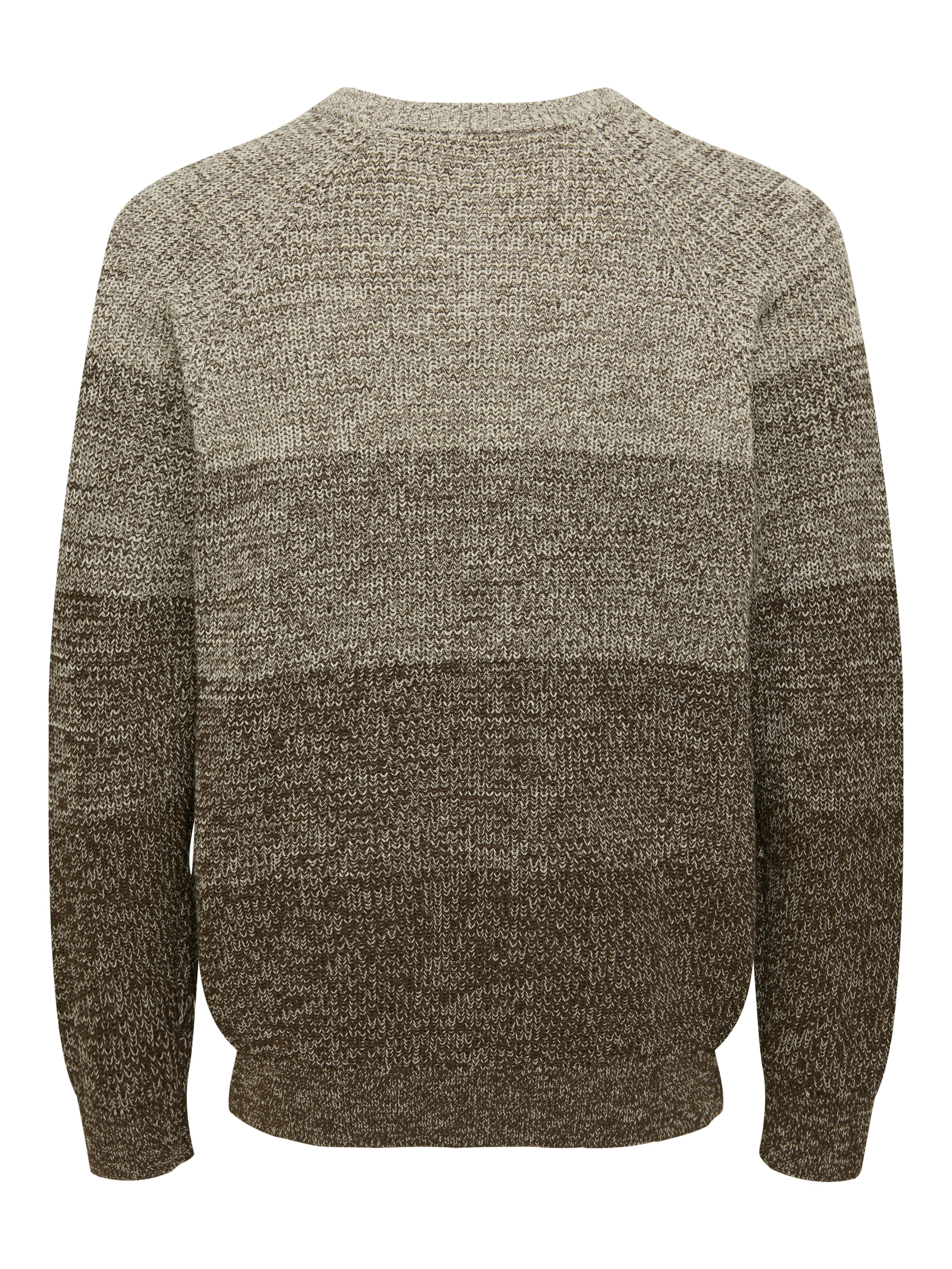 ONLY & SONS Rundhalspullover »ONSBIRK RLX LS RAGLAN KNIT CAMP«