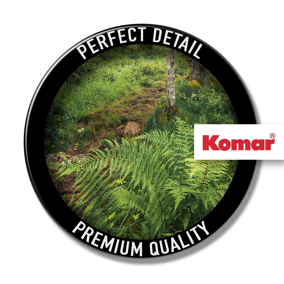 Komar Leinwandbild »Mystic Birch Grove - Grösse 40 x 30 cm« Baum | Berge | Blätter | Foto | Jahreszeiten | Landschaft | Meer | Natur | Palmen | Strand Packung, 1 Stk. tlg. Keilrahmenbild mi Echtholzrahmen