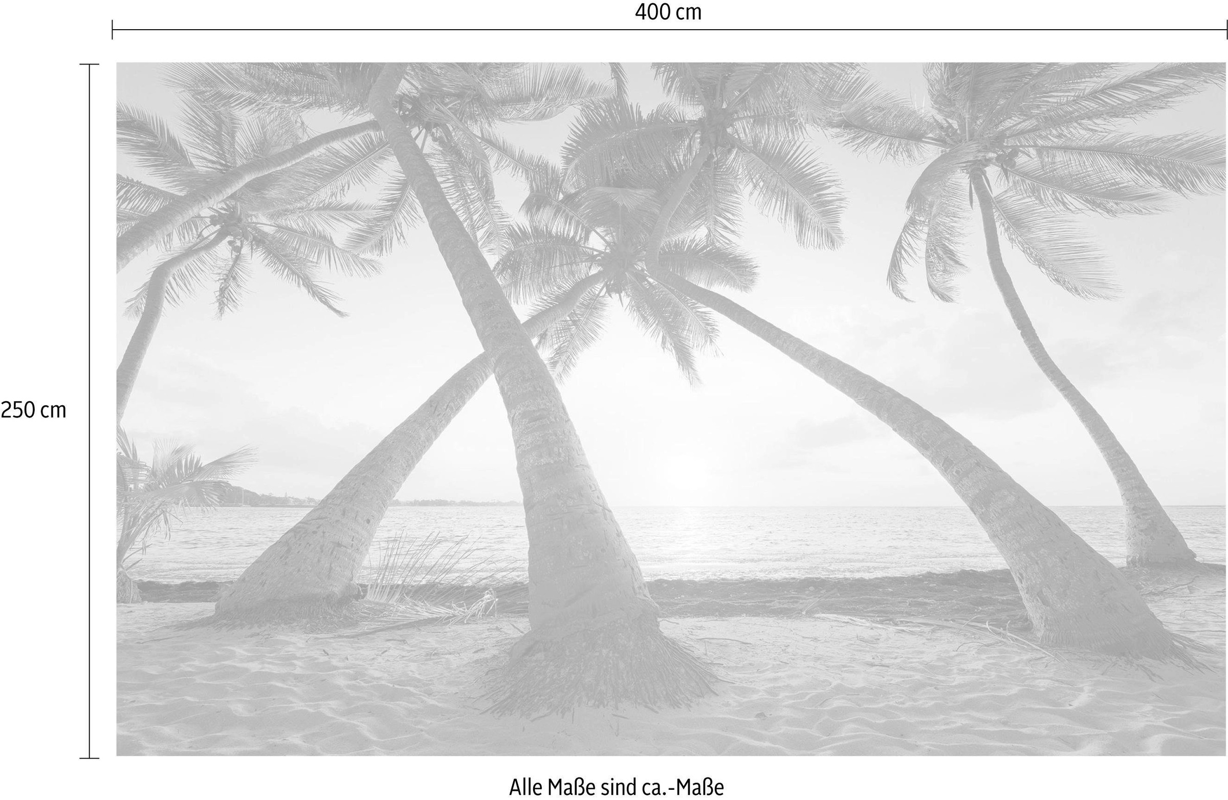 Komar Vliestapete »Digitaldruck Vlies -  Reaching the Sun - Grösse 400 x 250 cm« bedruckt glatt Wohnzimmer, Schlafzimmer