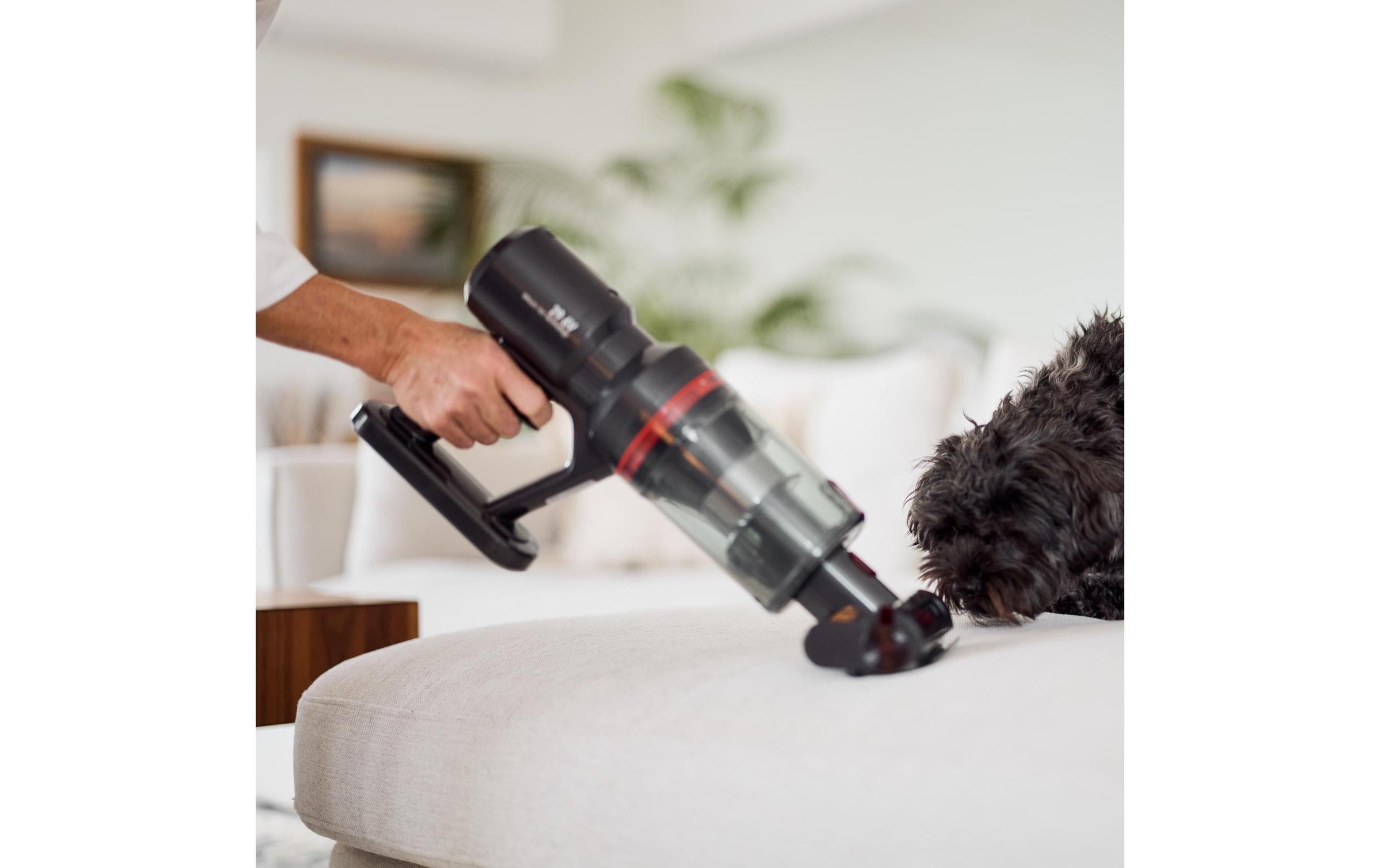   Aspirateur à main et à manche sans fil »Ecofort ecoQ CleanVac Pro Animal«