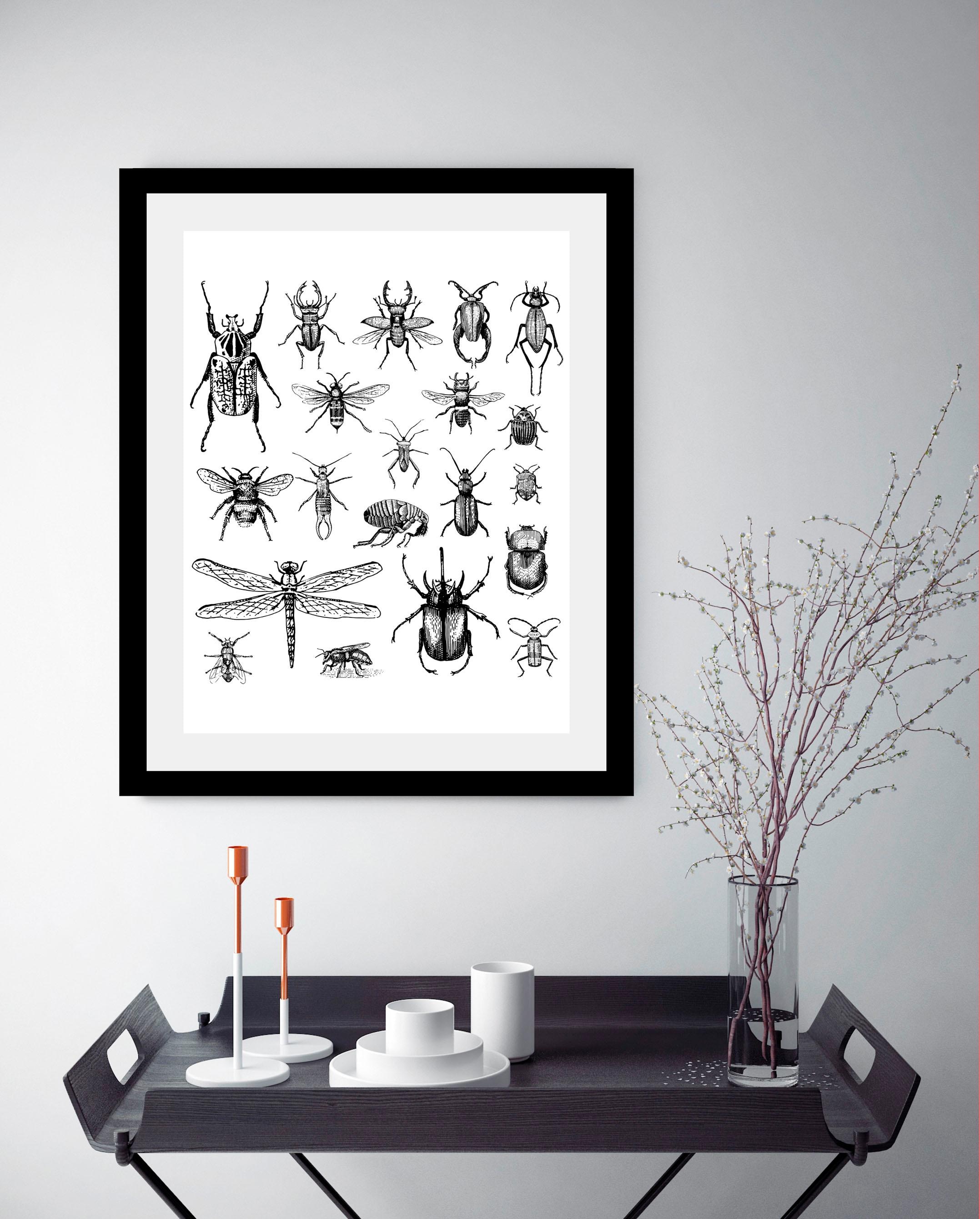 queence Bild »Käfer« Insekten | Kunst | Schwarz-Weiss | Tiere HD Premium Poster-Druck inkl. Holzrahmen
