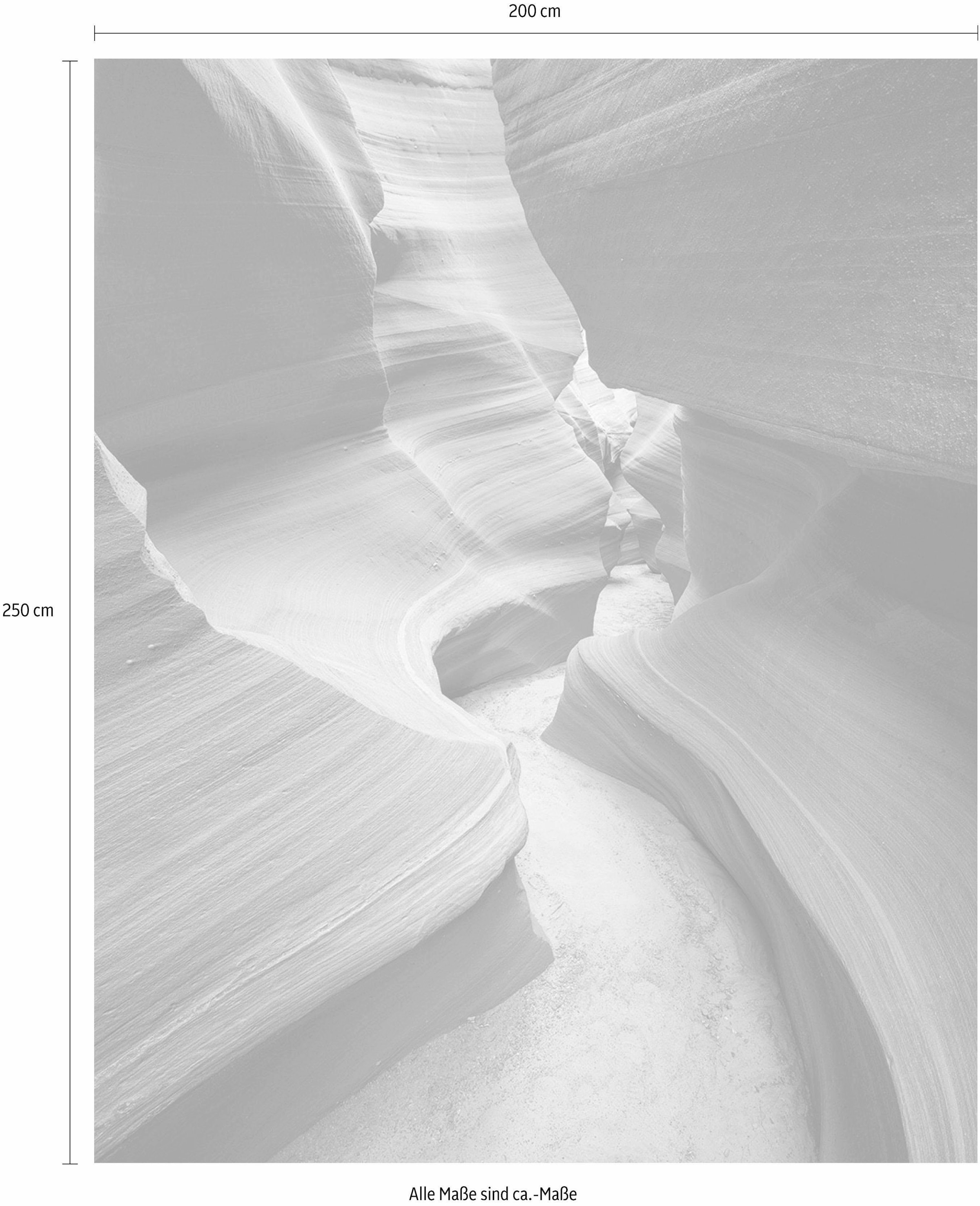 Komar Vliestapete »Digitaldruck Vlies -  Lost in Color - Grösse 200 x 250 cm« bedruckt glatt Wohnzimmer, Schlafzimmer