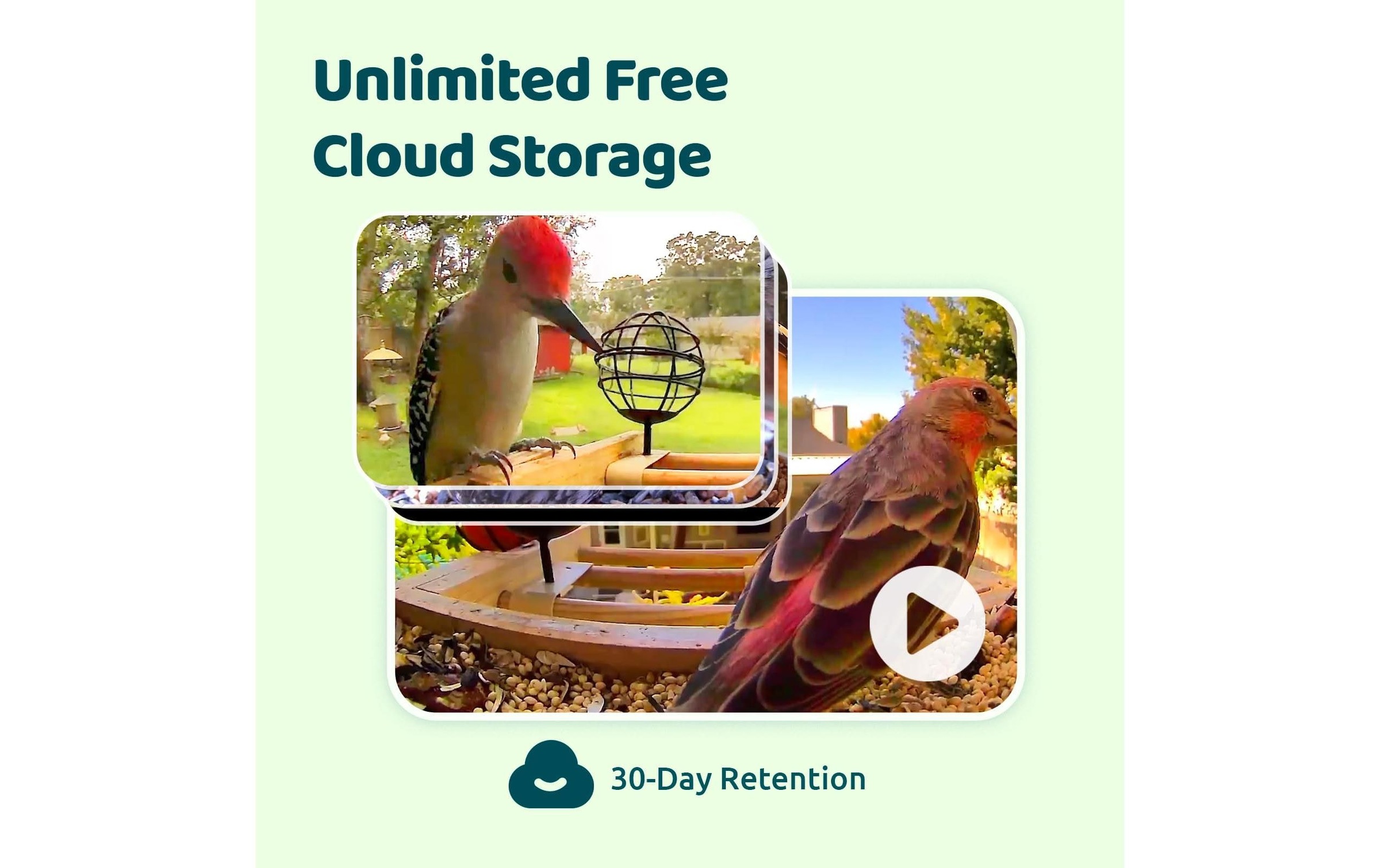 Birdfy Distributeur de nourriture »FSC Bambus Mini Solar«