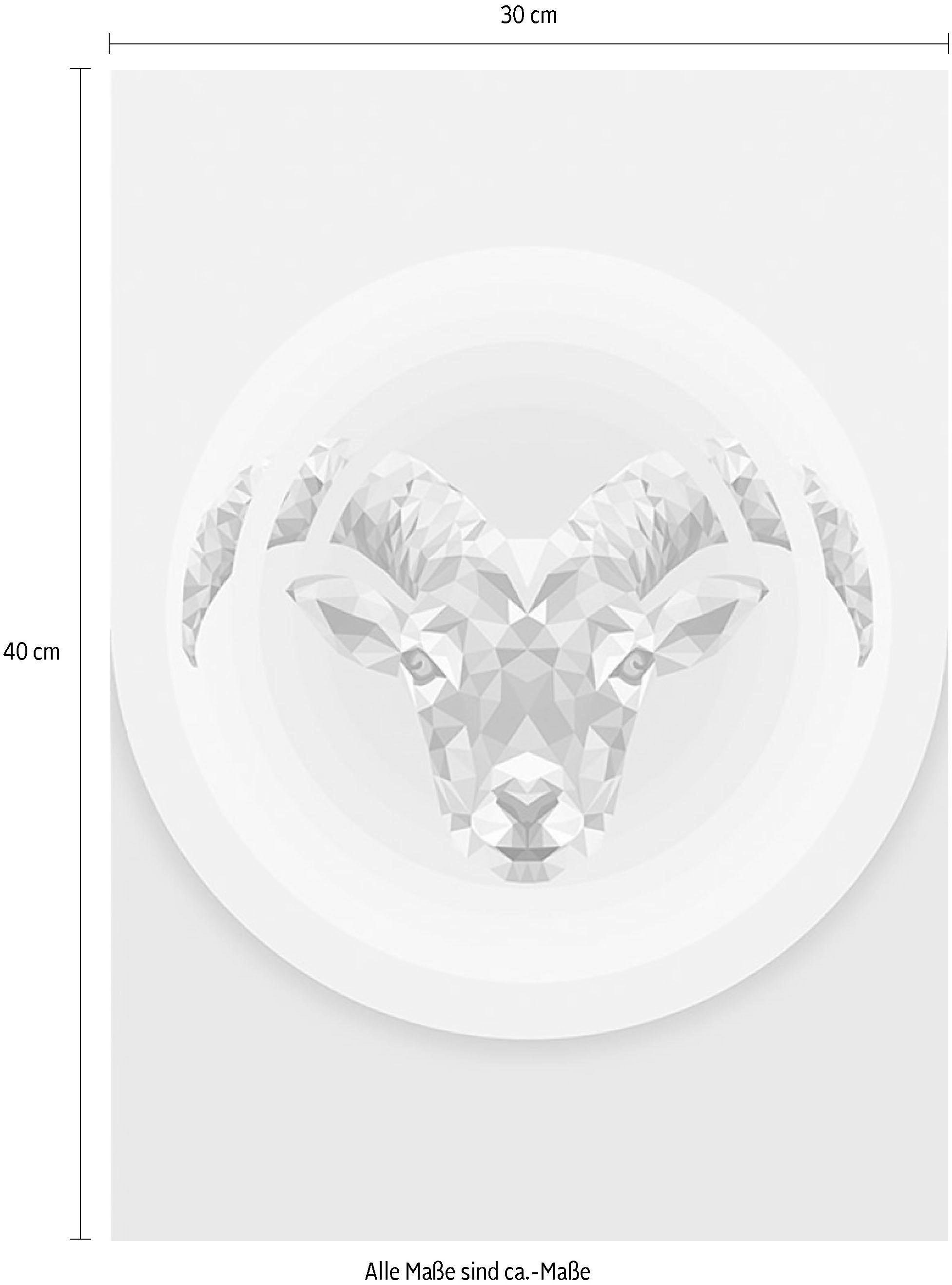 Komar Image »Capricorn« 1 cuis tlg. Wandbild zur Dekoration - ohne Rahmen