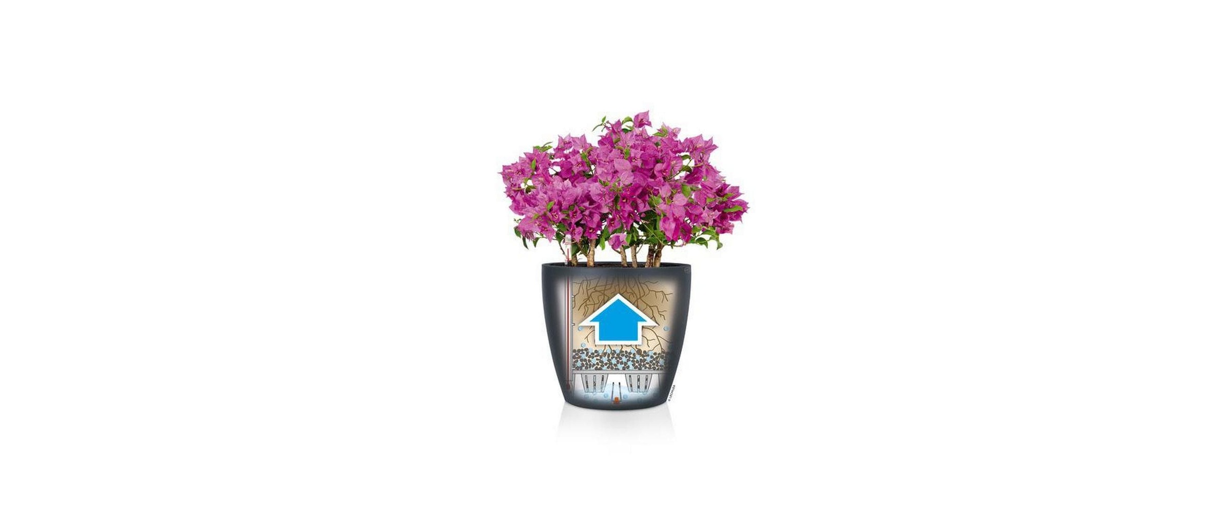   Pot de fleurs »Lechuza CLASSICO Color 60«