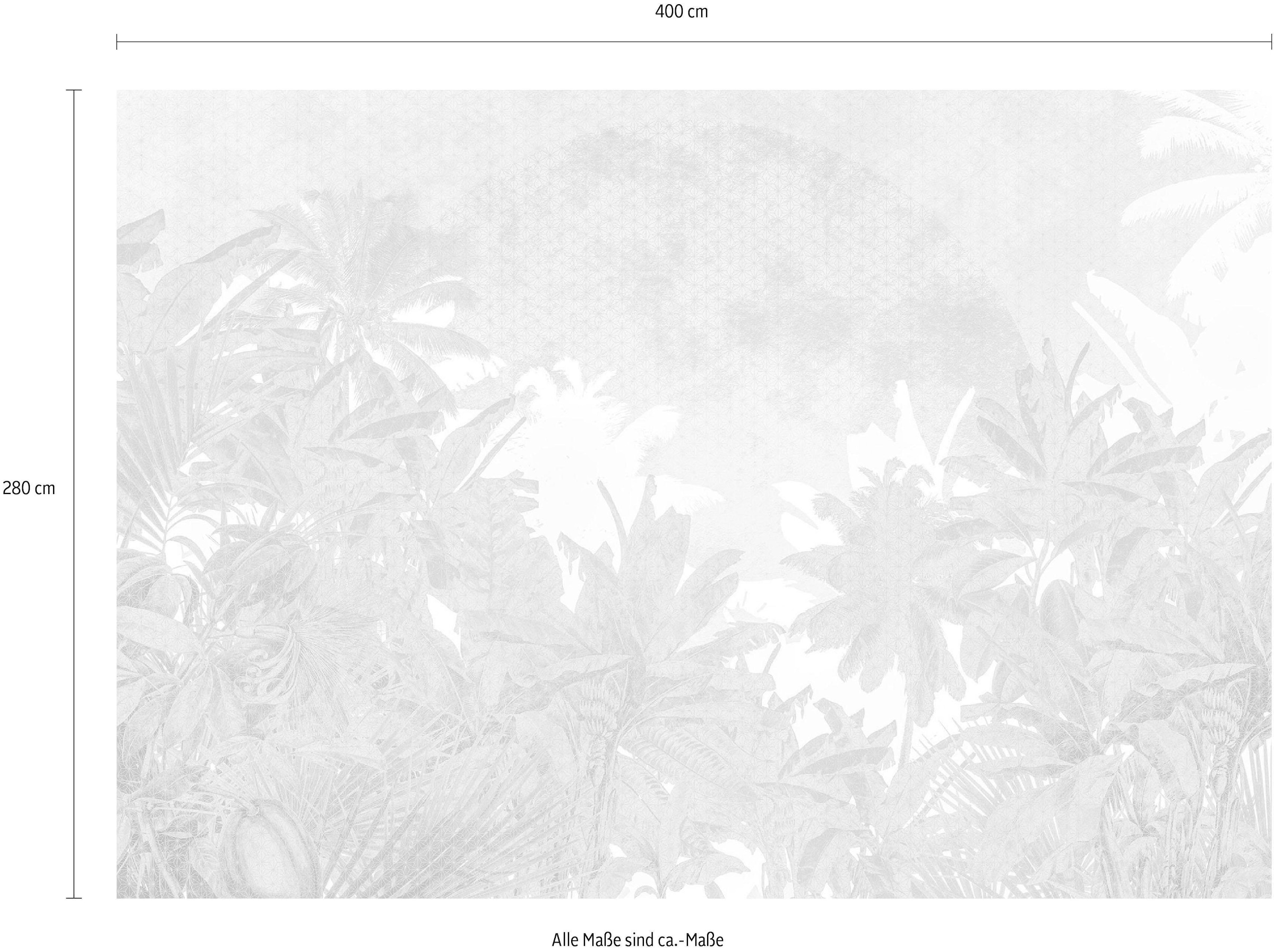 Komar Papier peint intissé »Digitaldruck Vlies -  Palmiers - Grösse 400 x 280 cm« imprimé Wohnzimmer, Schlafzimmer