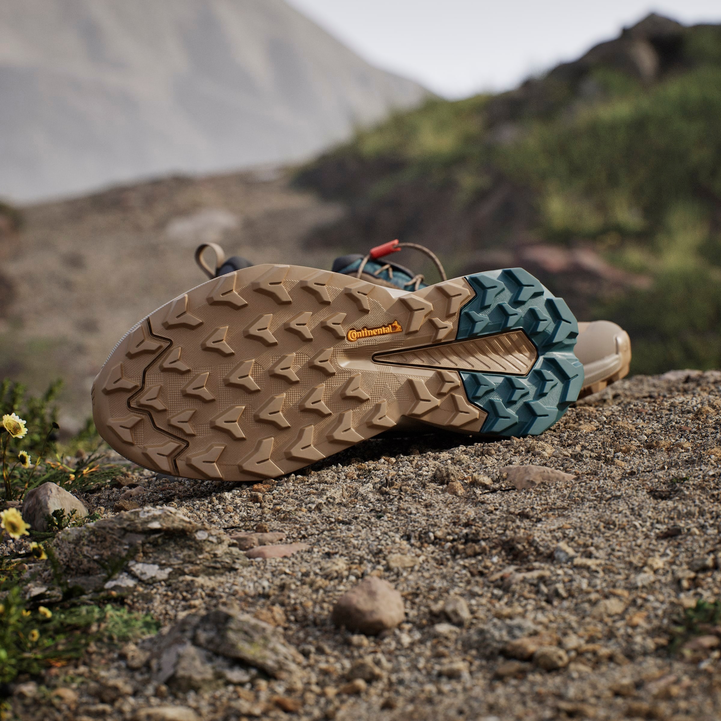 adidas TERREX Wanderschuh »TERREX TRAILMAKER 2 GORE-TEX SPEED LACE«  wasserdicht