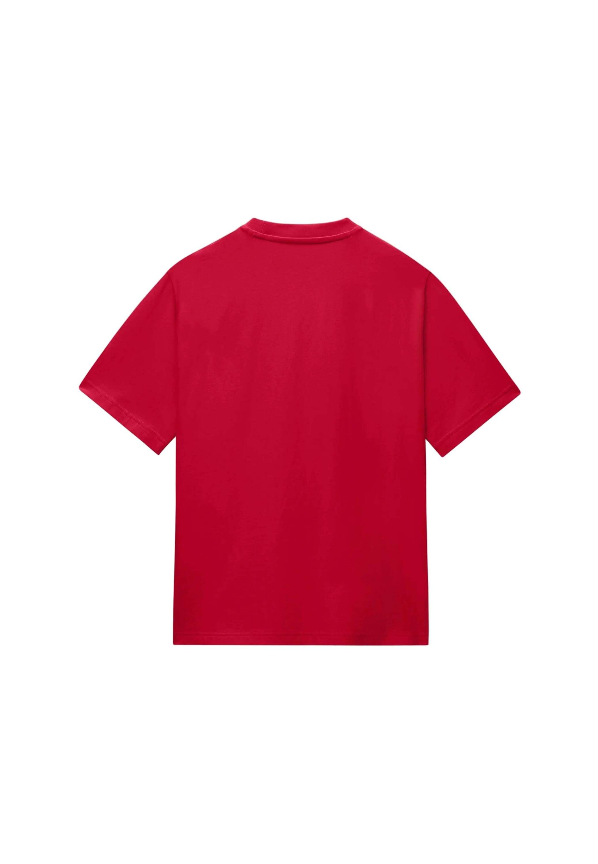 Napapijri T-Shirt »Napapijri T-Shirt S-BOX LOGO SS 1«