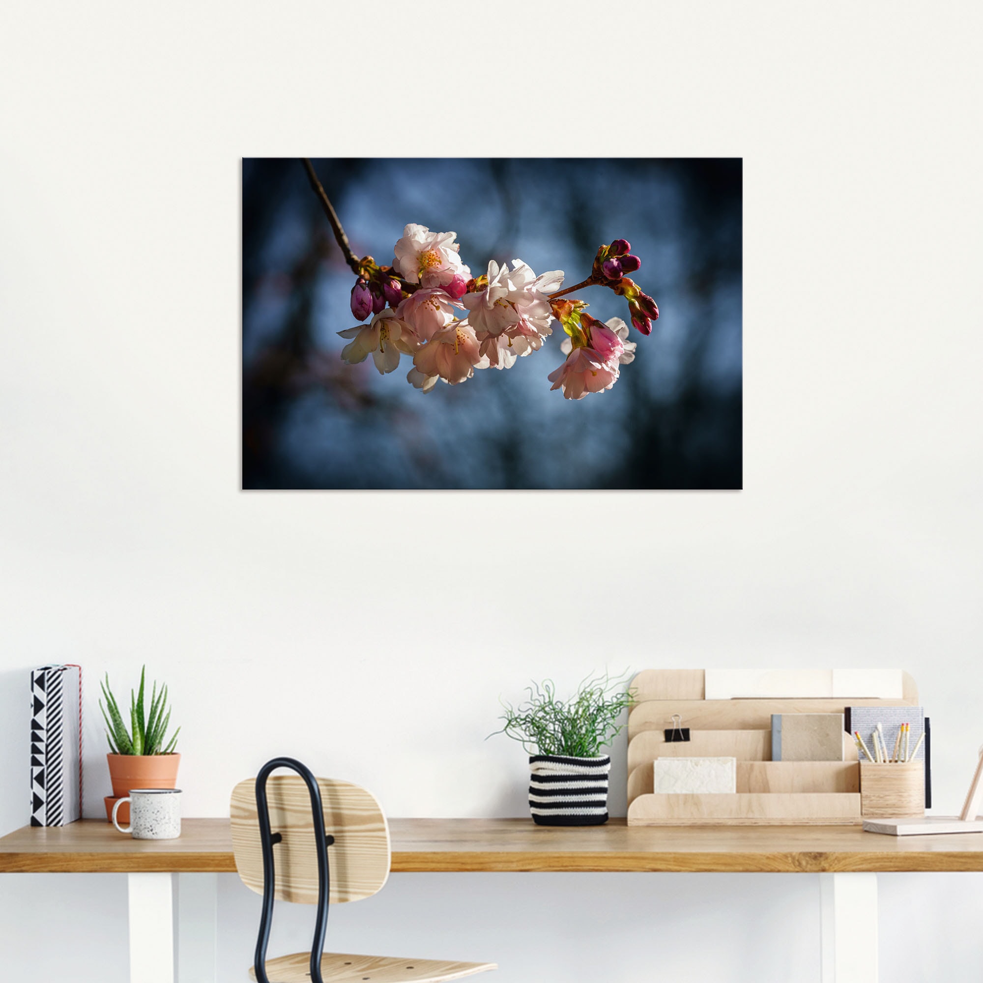 Artland Impression alu-dibond »Kirschblüte im Frühling« 1 cuis tlg. für Innen- und Aussenbereich geeignet, Outdoorbild