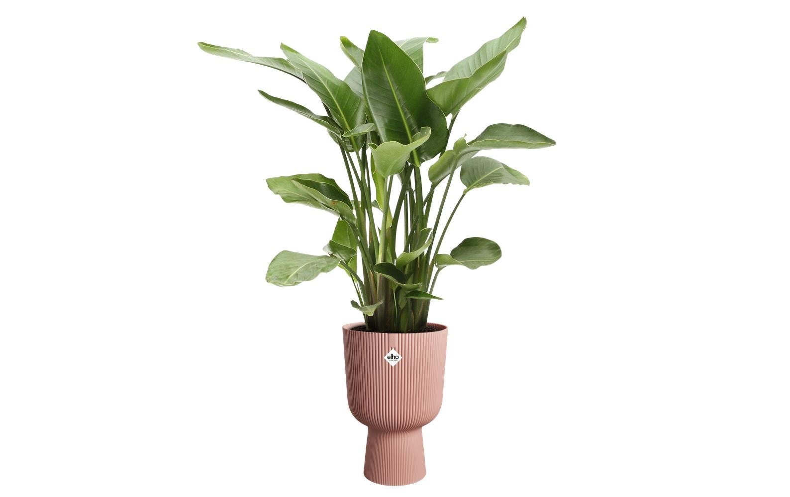 Elho Pot de fleurs »Vibes Fold Coupe 30 cm«