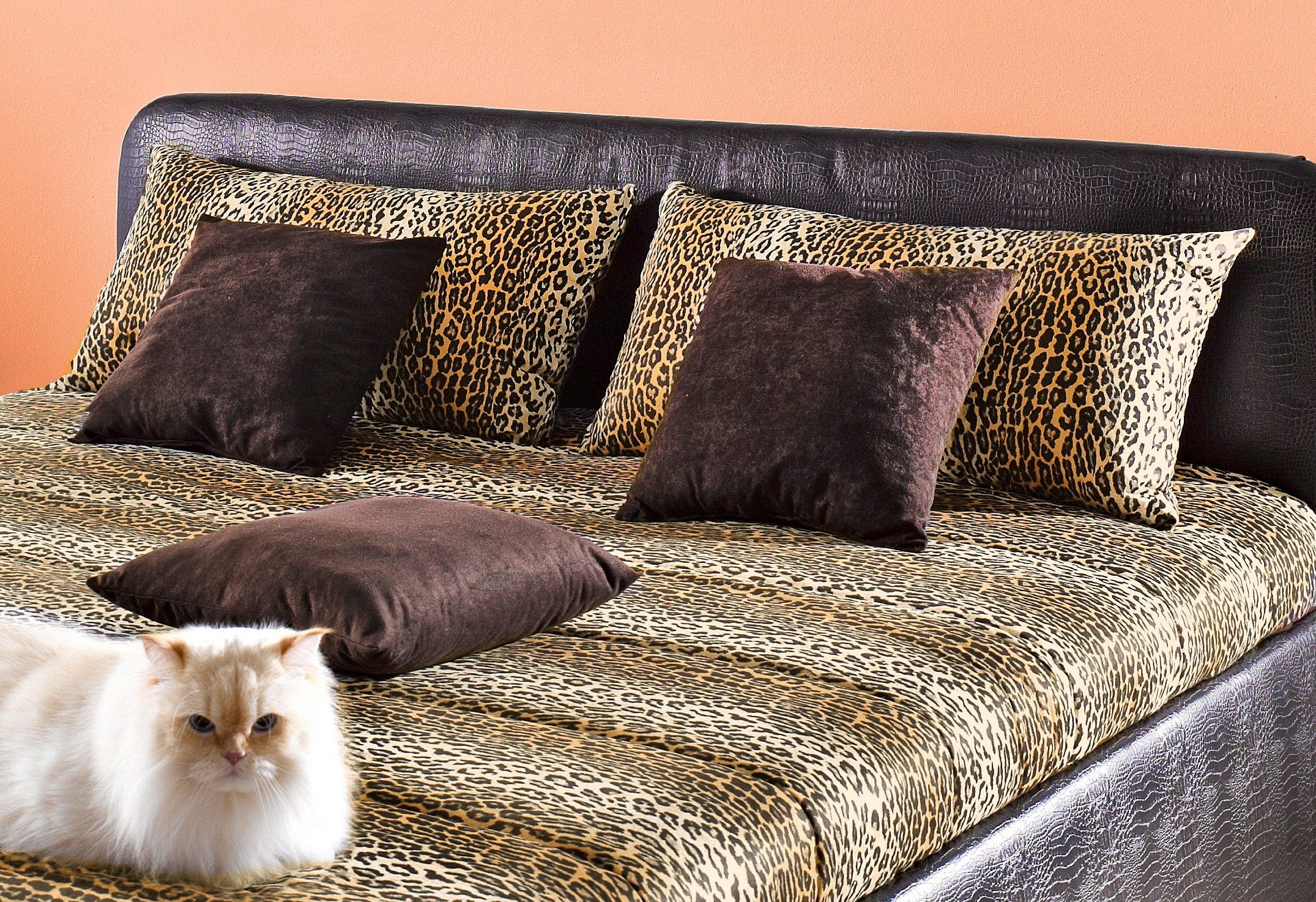 Westfalia Schlafkomfort Polsterbett inkl. Bettkasten bei Ausführung mit Matratze