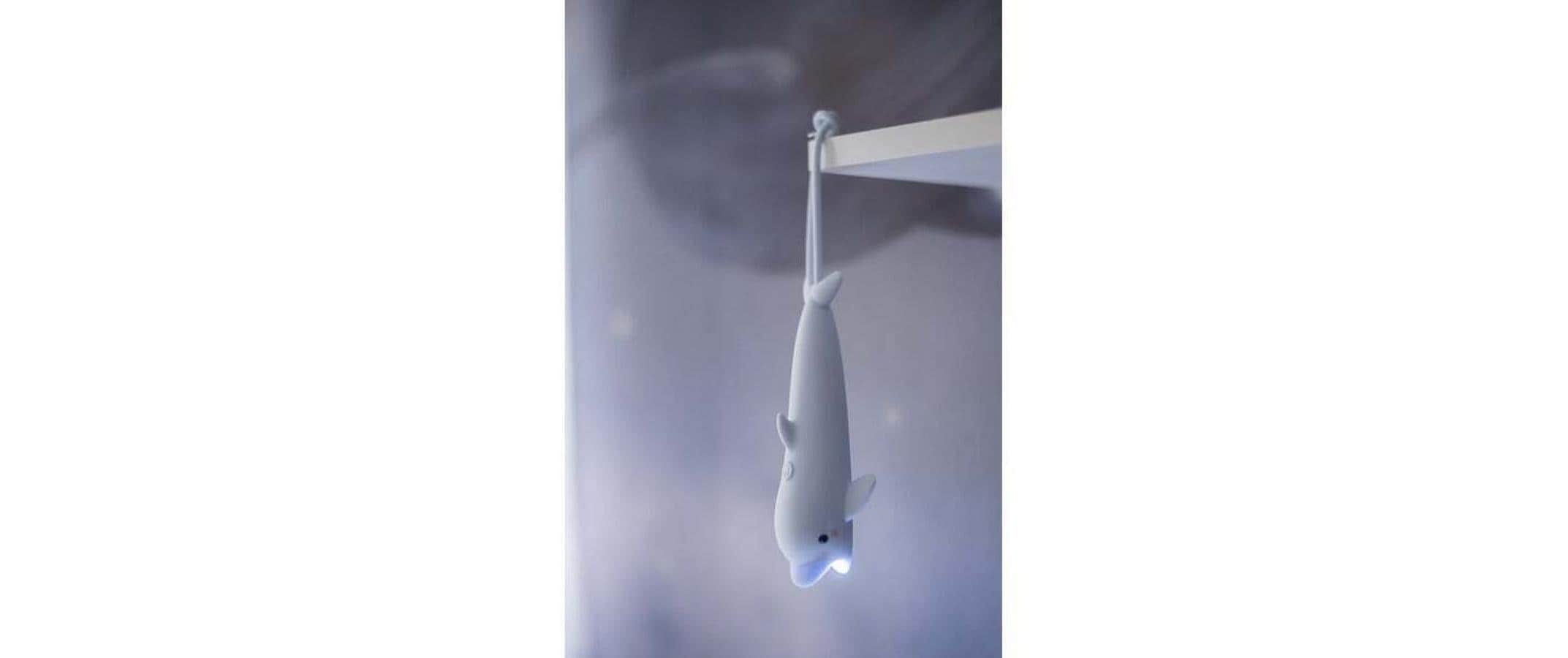   Lampe de poche »Flashlight LED Luz Led fest verbaut«