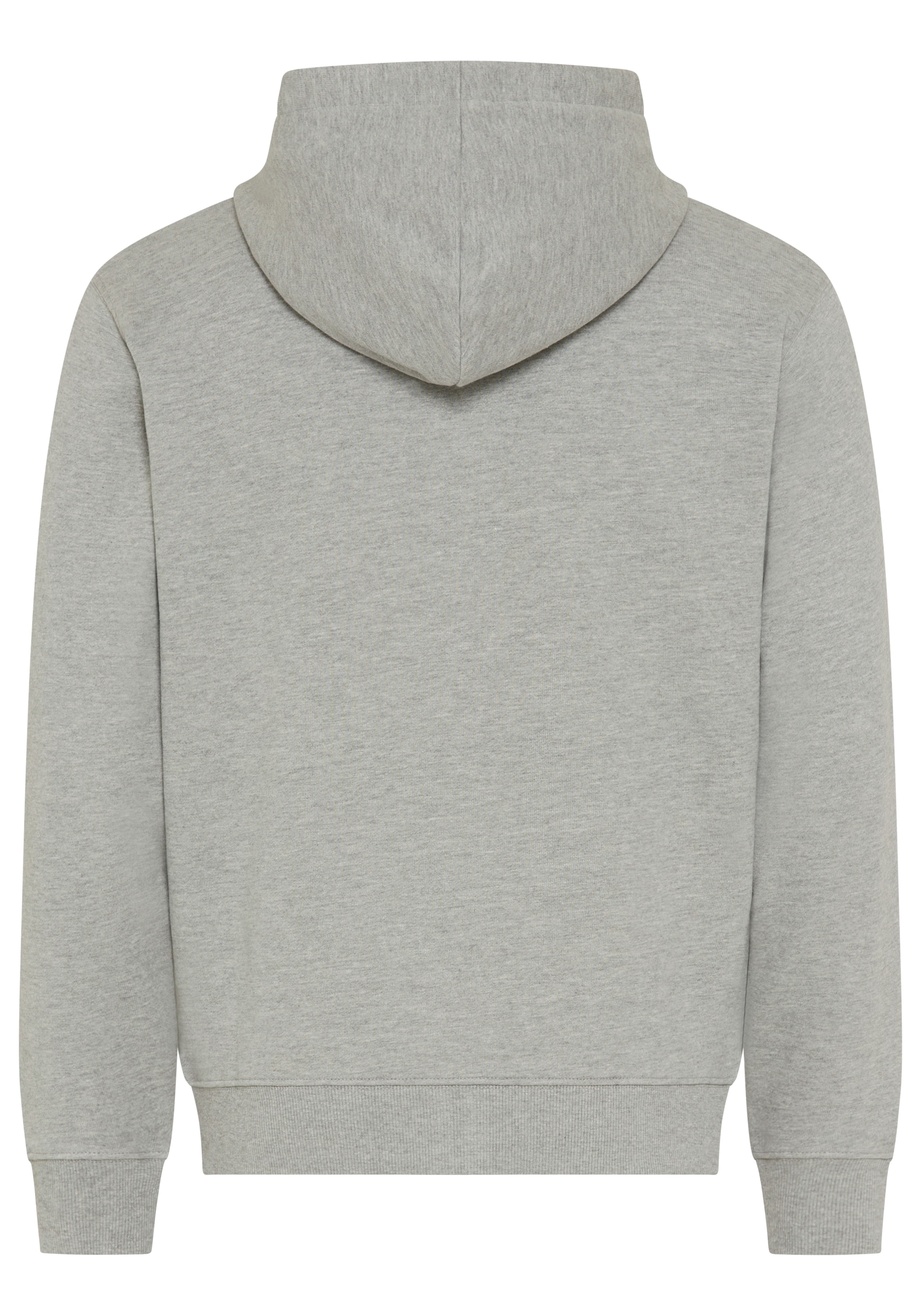 Replay Sweat à capuche en coton, coupe régulière