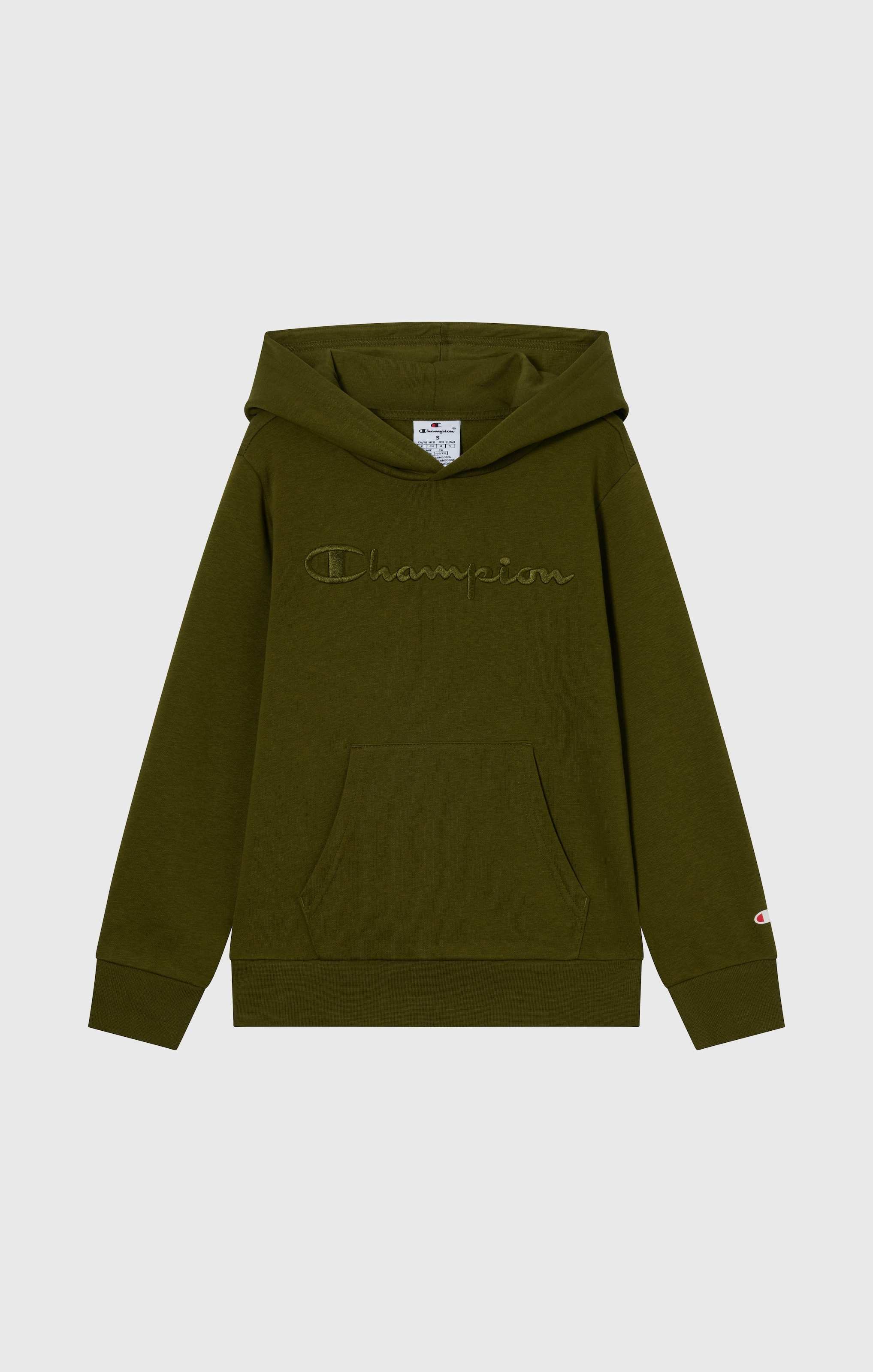 Champion Sweat à capuche »ICONS TONAL Hoodie Large Logo« 1 cuis tlg.