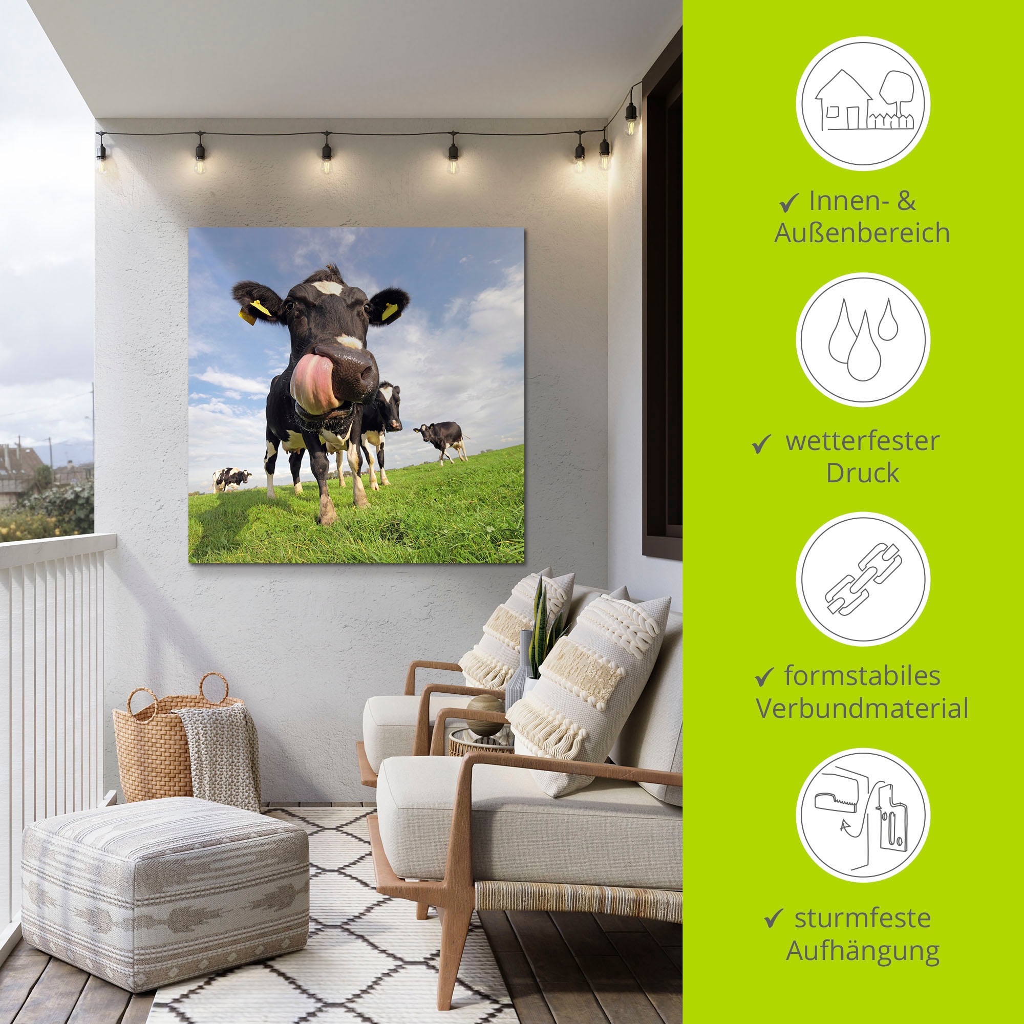 Artland Alu-Dibond-Druck »Holstein-Kuh mit gewaltiger Zunge« Haustiere 1 Stk. tlg. für Innen- und Aussenbereich geeignet, Outdoorbild