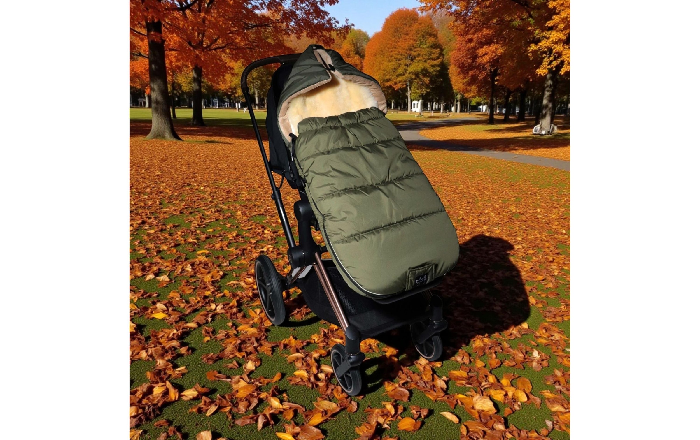 Kaiser Chancelière »Sheep«