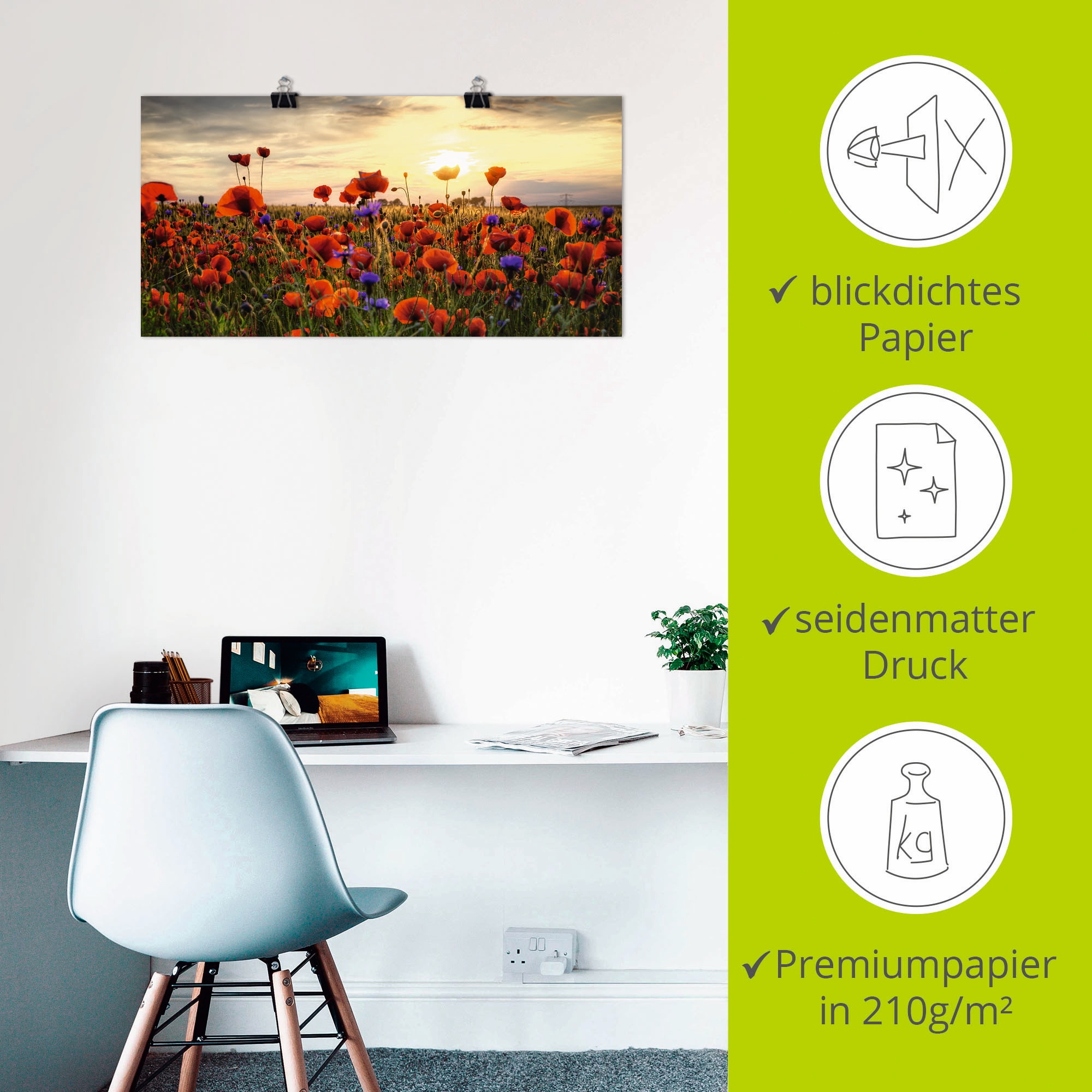 Artland Wandbild »Mohnblumen« Blumen 1 Stk. tlg. als Alubild, Leinwandbild, Poster in verschied. Grössen