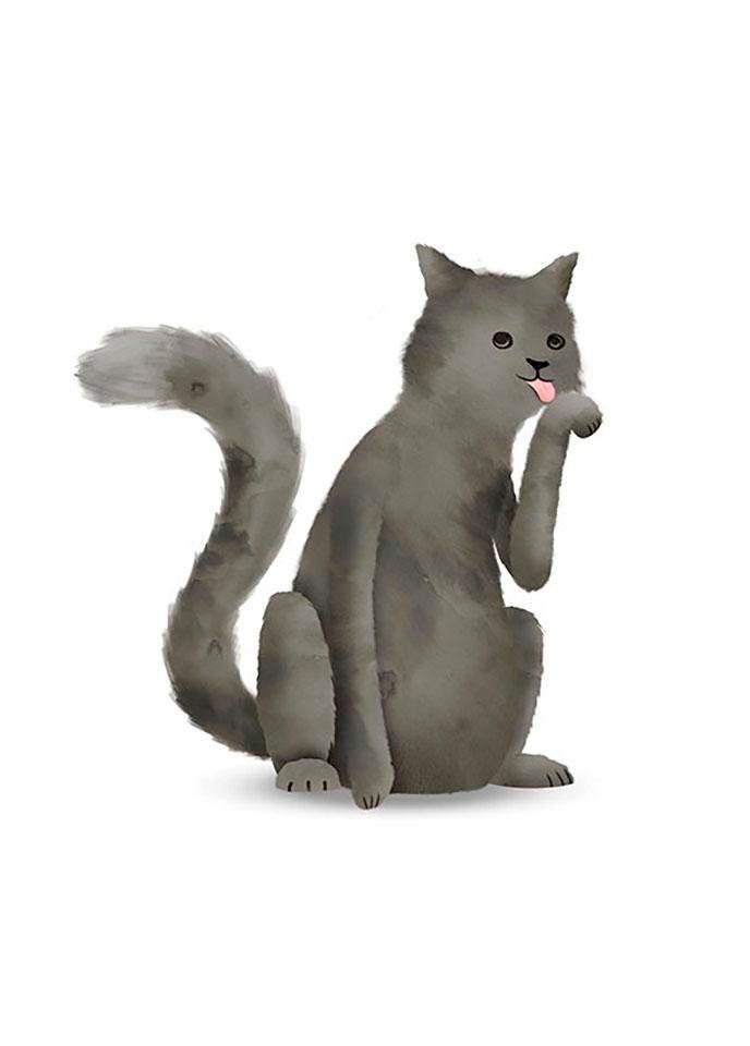 Komar Image »Cute Animal Cat« 1 cuis tlg. Wandbild zur Dekoration - ohne Rahmen
