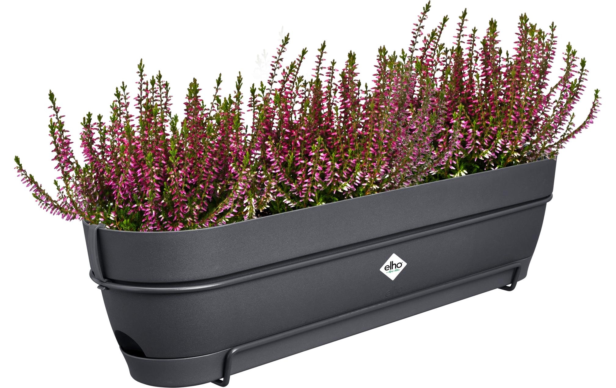 Elho Blumentopf »Vibia Campana Balkonkasten Allin1 70 cm«