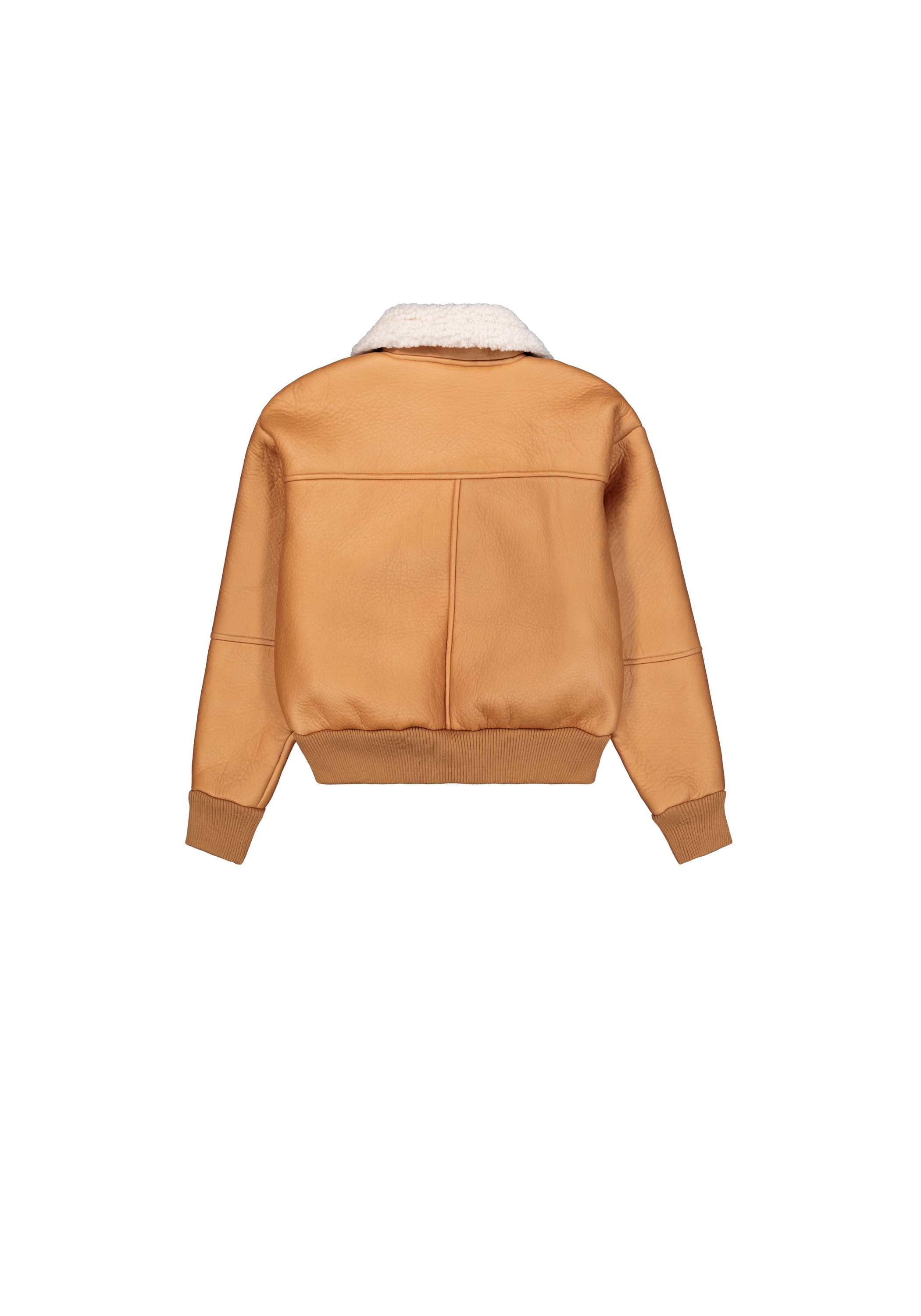 Alpha Industries Bomberjacke »B-15 Modified W«