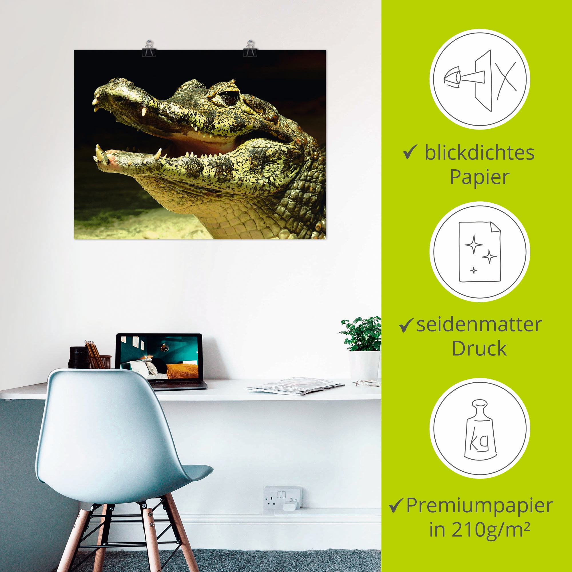 Artland Poster »Ein lächelndes Krokodil« 1 cuis tlg. als Poster, Wandaufkleber in verschied. Grössen