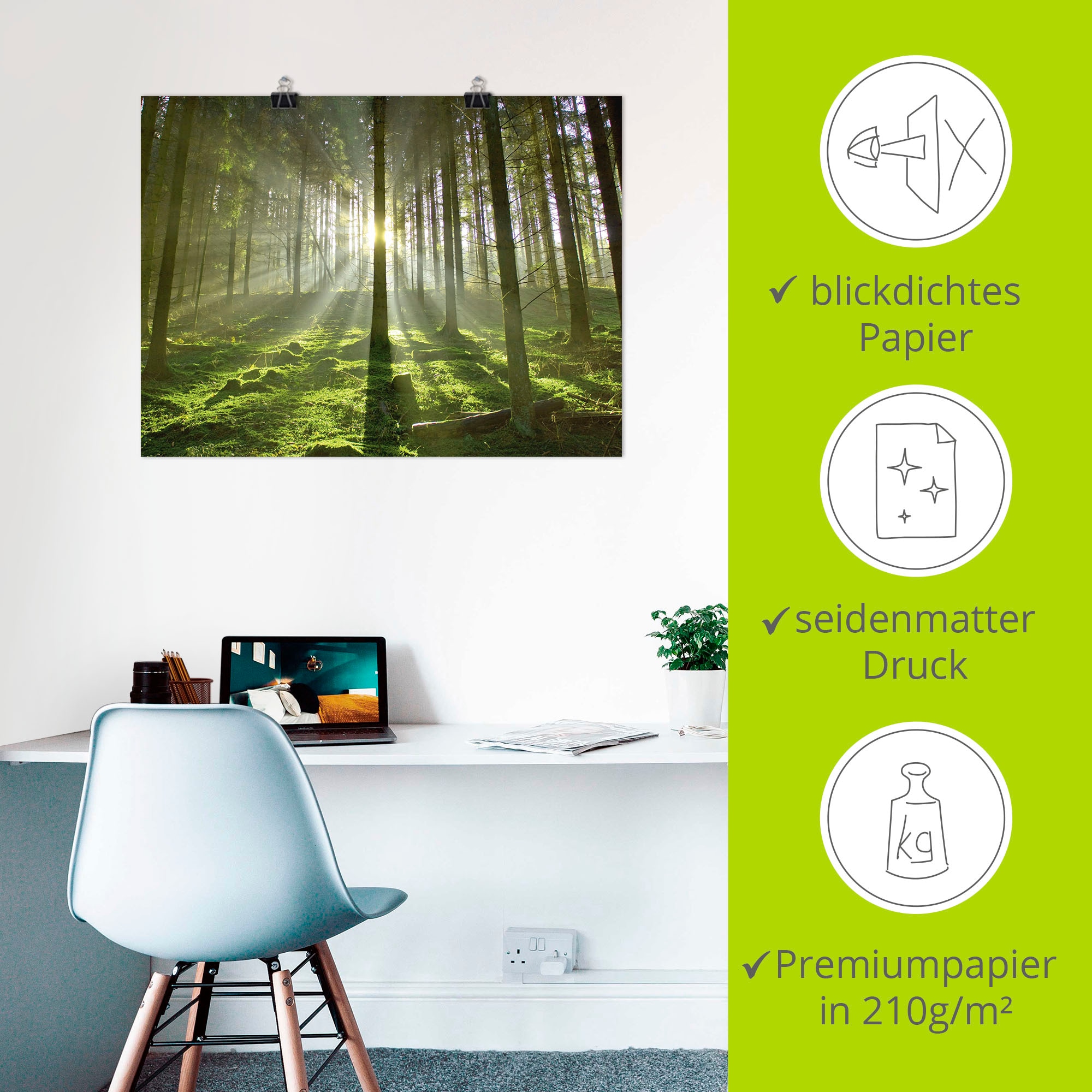 Artland Fresque murale »Wald im Gegenlicht« 1 cuis tlg. als Leinwandbild, Poster in verschied. Grössen