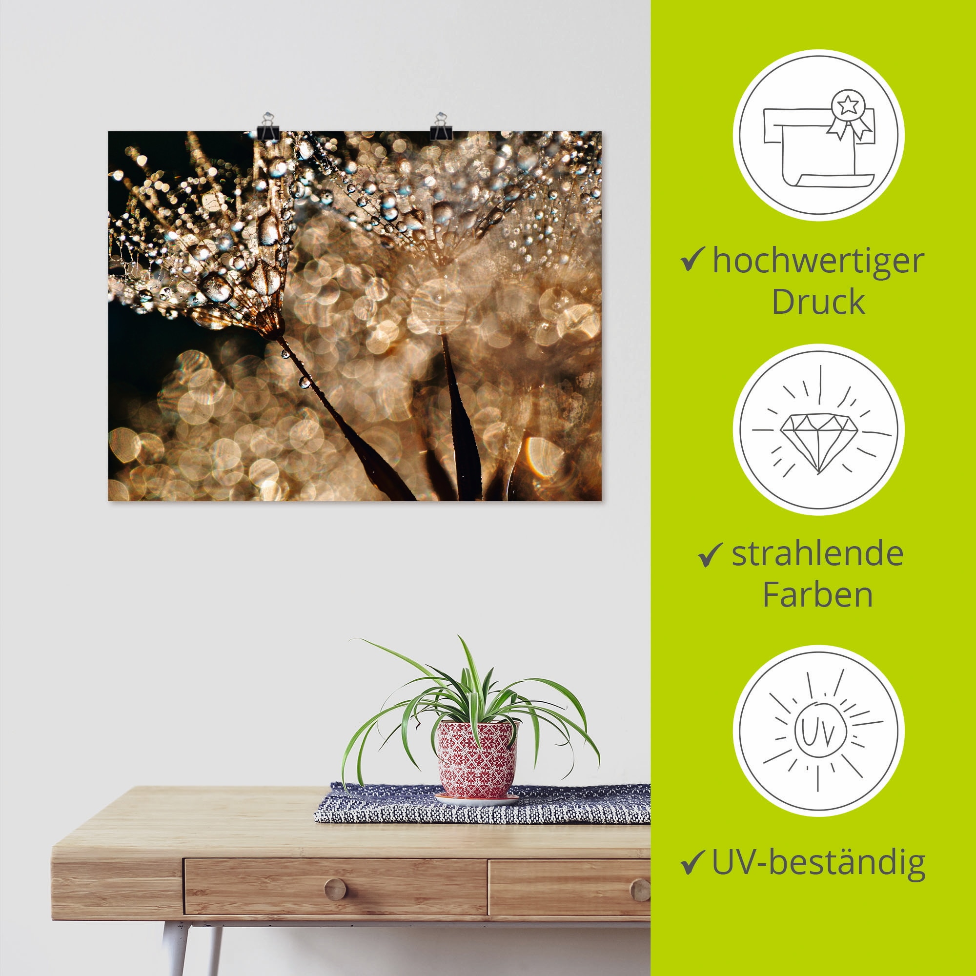 Artland Wandbild »Pusteblume Goldschimmer« Blumen 1 Stk. tlg. als Alubild, Leinwandbild, Poster in verschied. Grössen