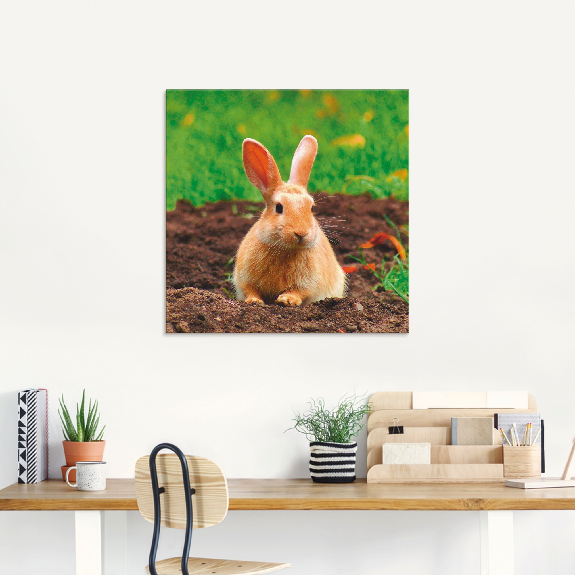 Artland Glasbild »Glückliches Zwergkaninchen« Wildtiere 1 Stk. tlg. in verschiedenen Grössen