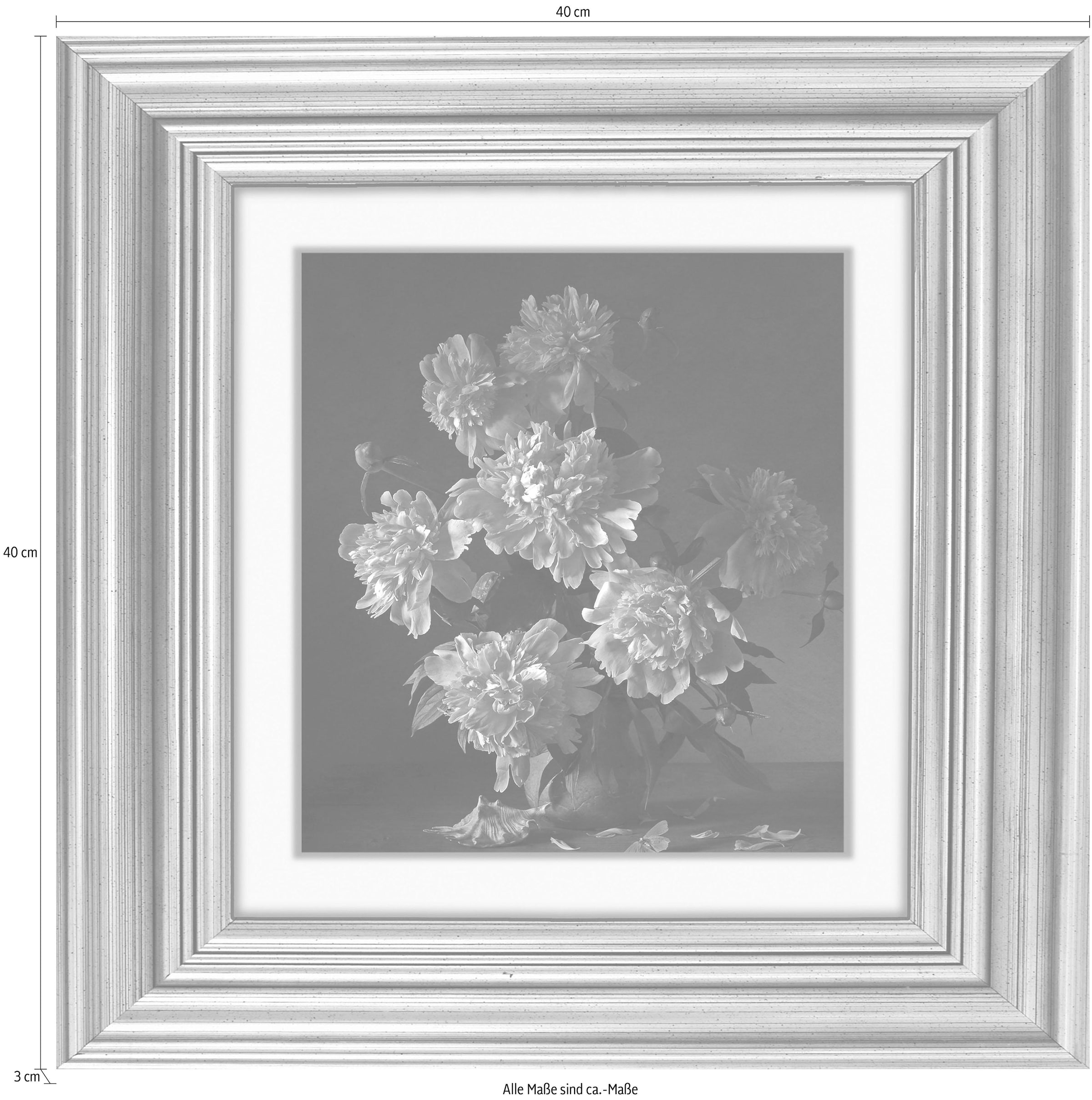 queence Acrylglasbild »Rosa Blüten« Blumenbilder | Gemälde | Kunst | Pflanzen | Pflanzenbilder Fine Art-Print in Galeriequalität