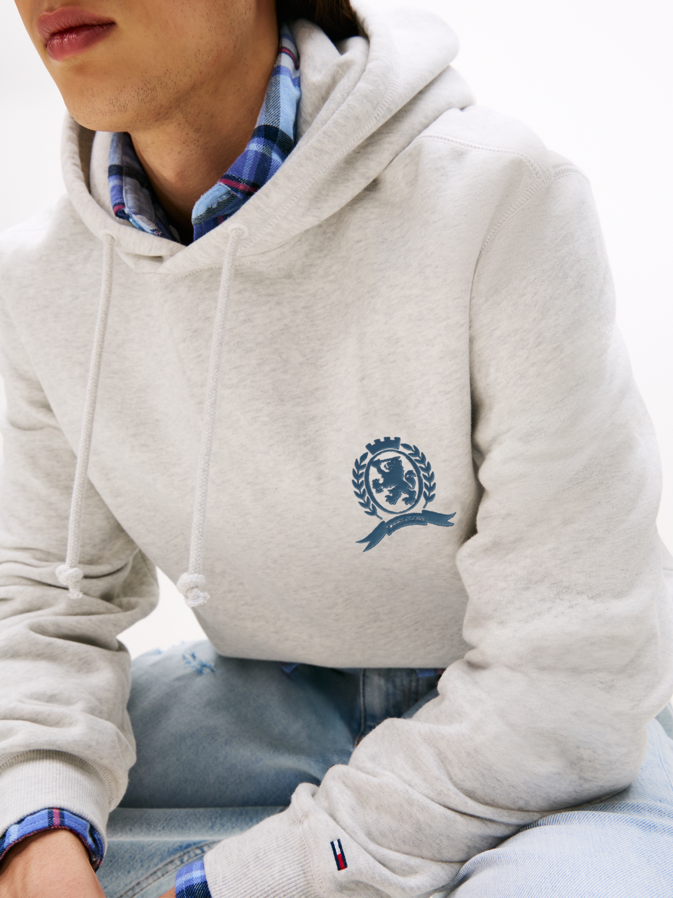Tommy Jeans Hoodie »TJM WASHED CREST PLAY«, regular fit, Sweatshirt, Rückenprint
