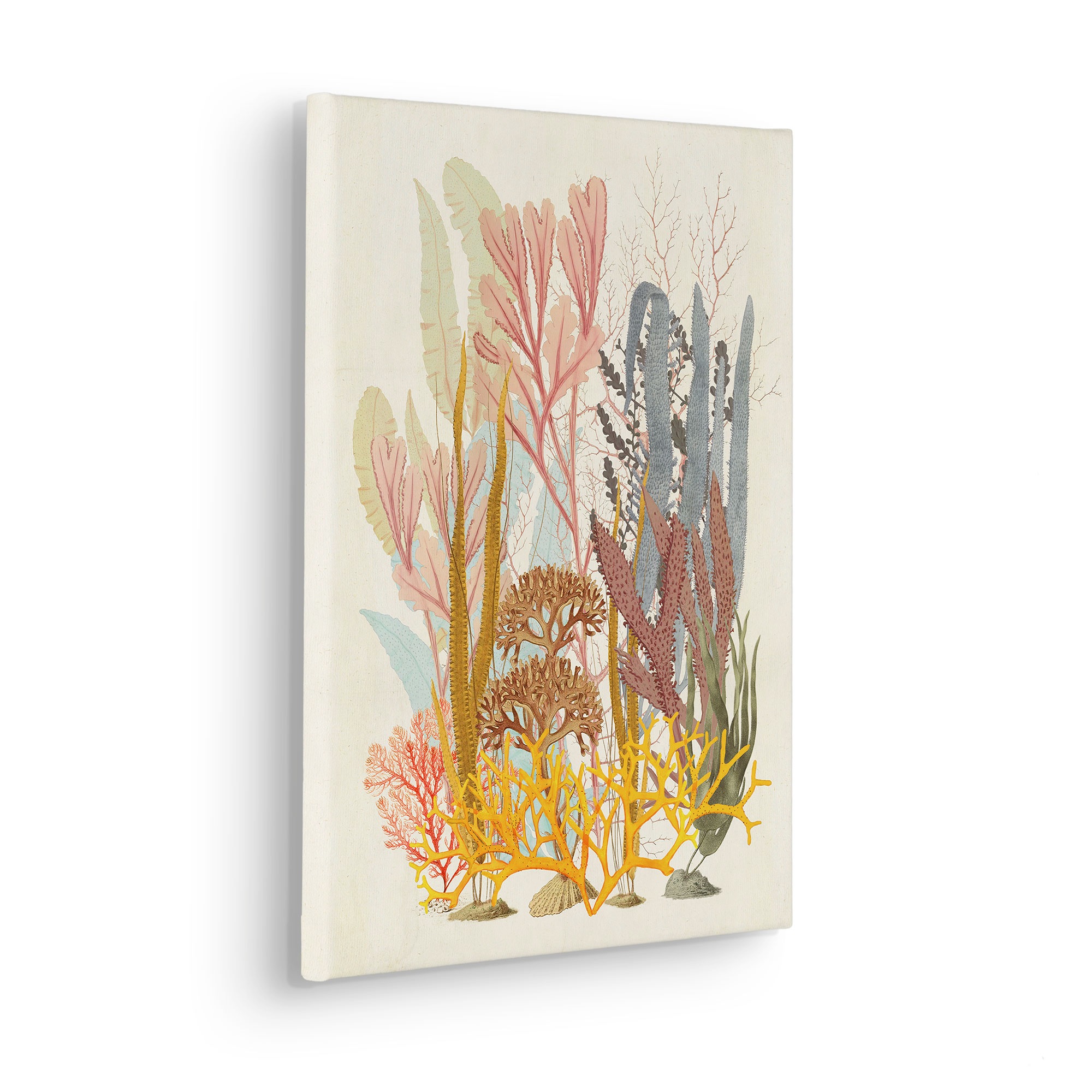 Komar Leinwandbild »Coral Aqua - Grösse 30 x 40 cm« Natur 1 Stk. tlg. Keilrahmenbild mi Echtholzrahmen