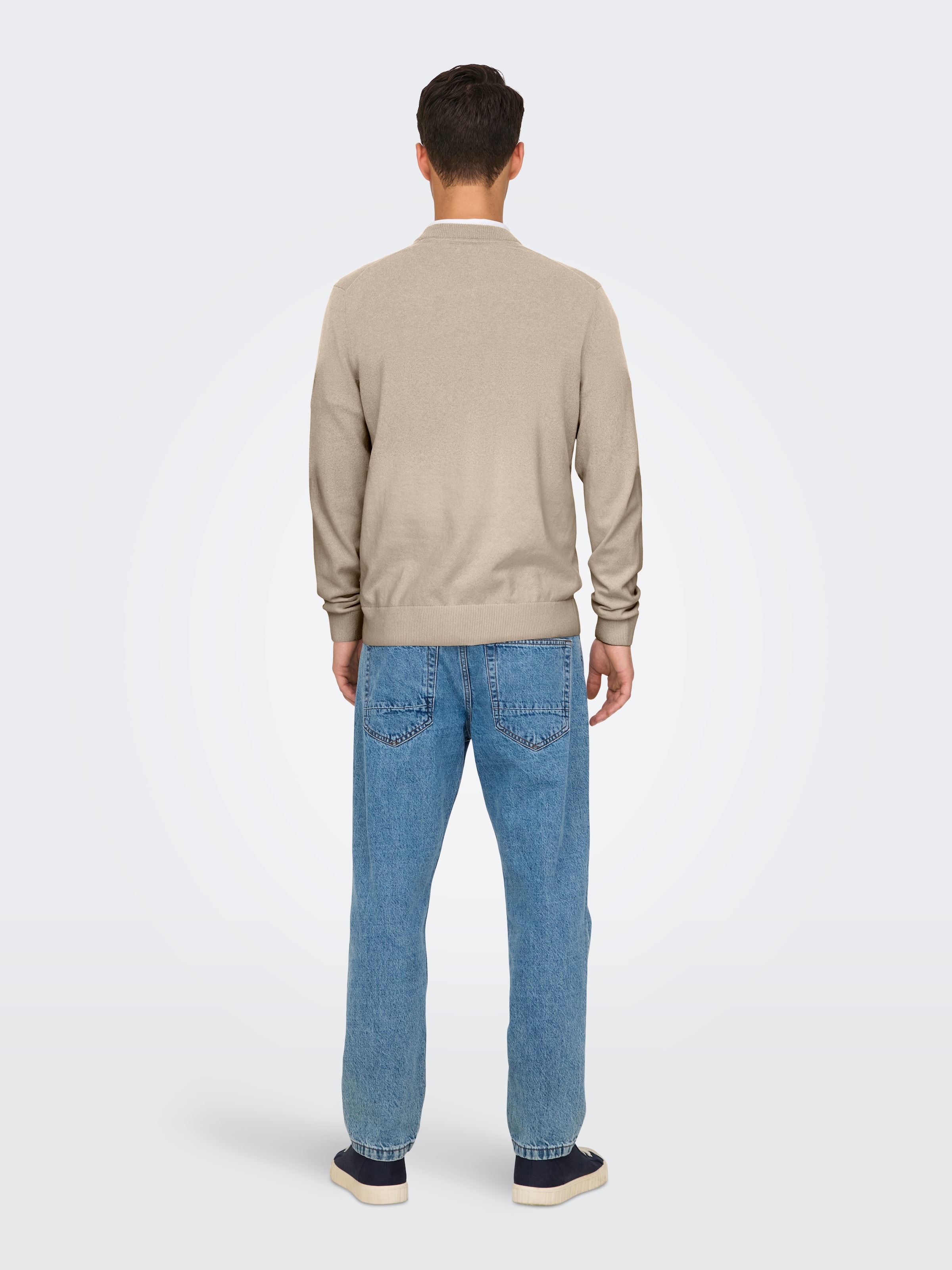 ONLY & SONS Pull à col rond »ONSREX LIFE REG 12 CREW KNIT«