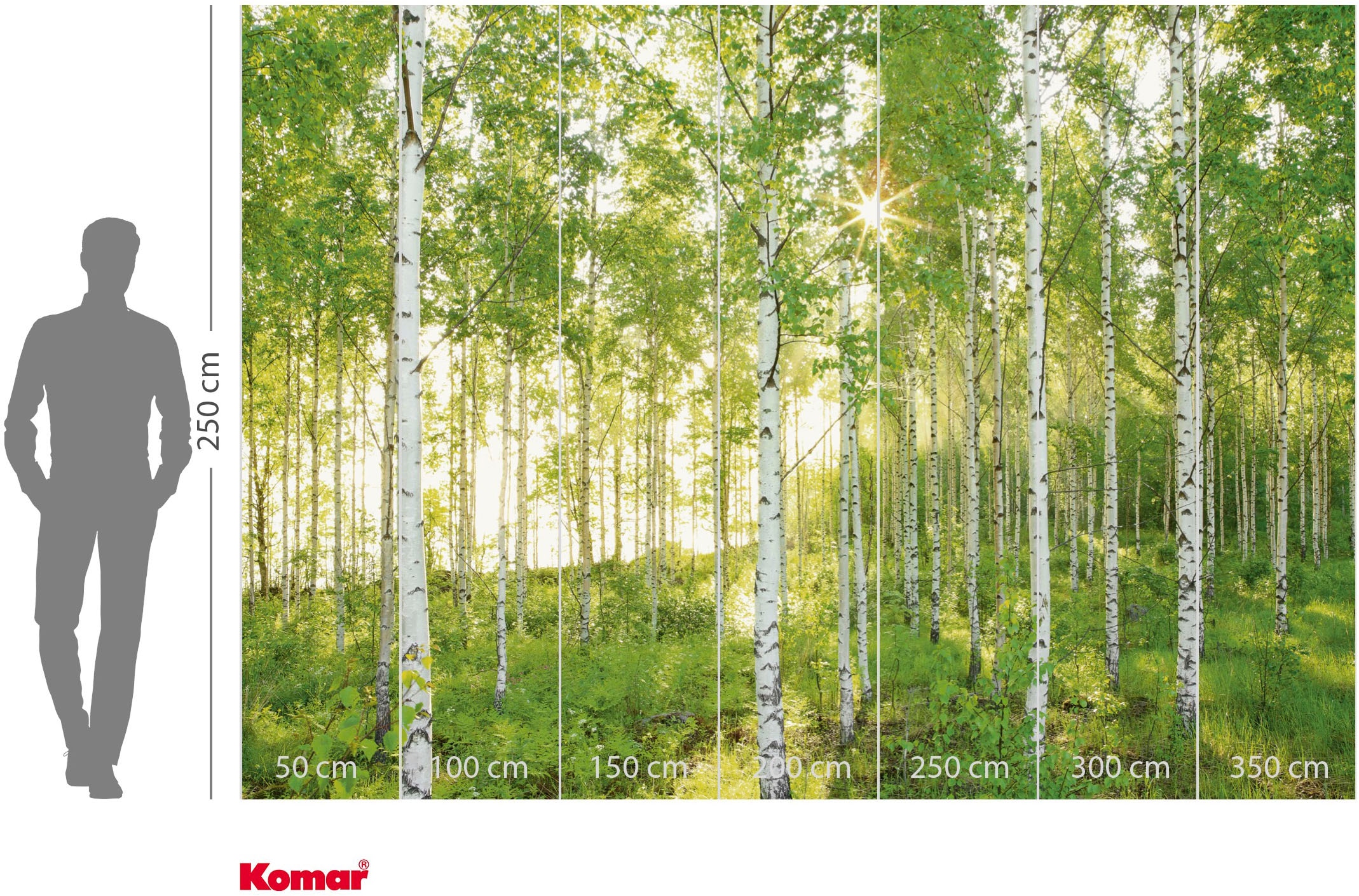 Komar Fototapete »Vlies Fototapete - Sunday - Grösse 350 x 250 cm« Motiv | bedruckt glatt