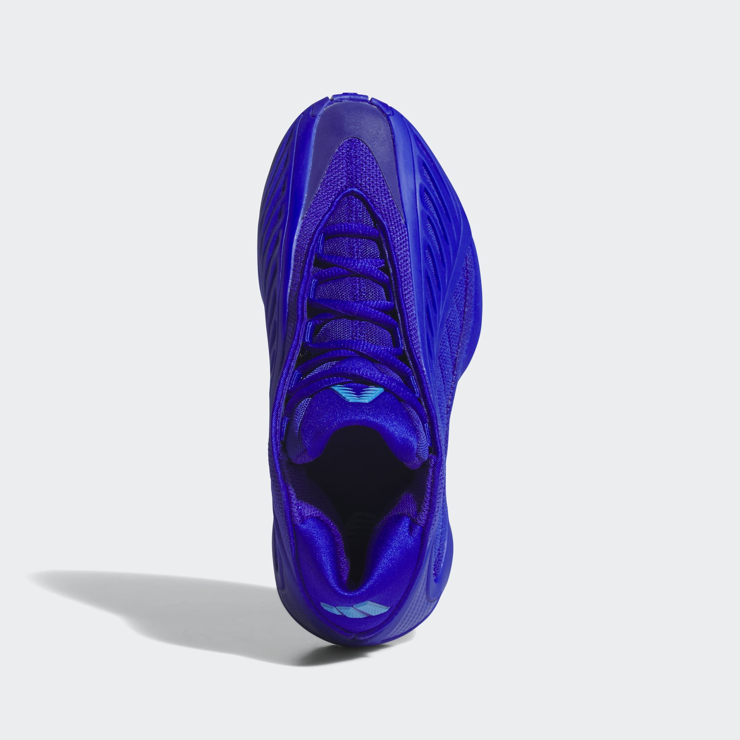 adidas Performance Basketballschuh »ANTHONY EDWARDS 2 J«  für Kinder & Jugendliche