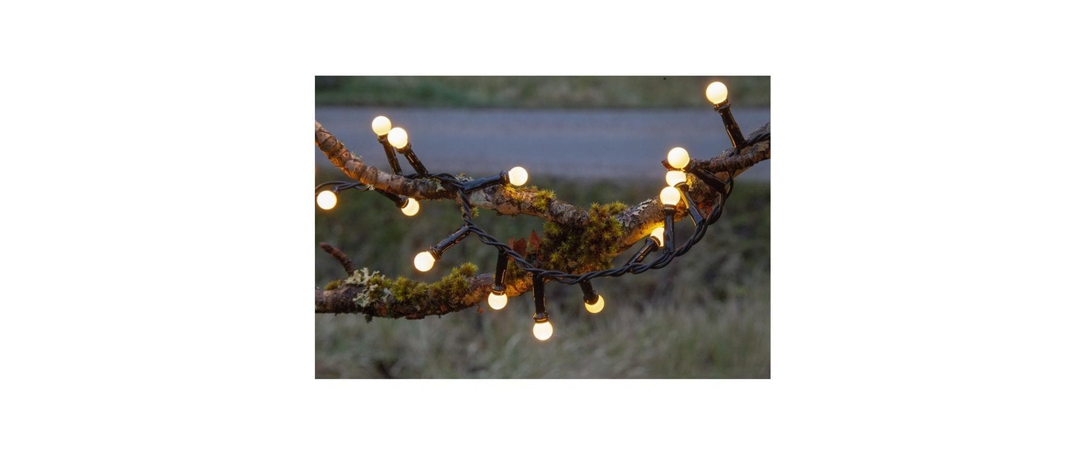 Parforce Traditional Hunting LED-Lichterkette »Lichterkette Berry Mini schwar« 300 Stk.-flammig