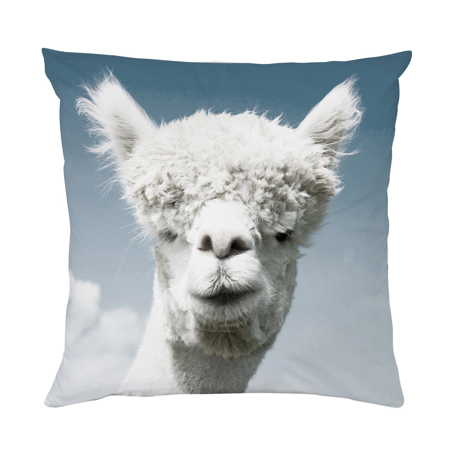 queence Dekokissen »Alpaka« Kissenhülle mit HD Premium Druck, geruchsneutral, 40x40cm