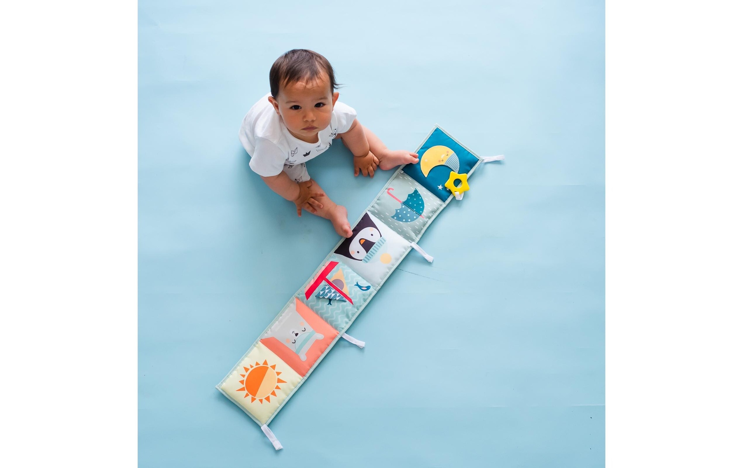 TAF TOYS Lernspielzeug »Nordpol 0M+«