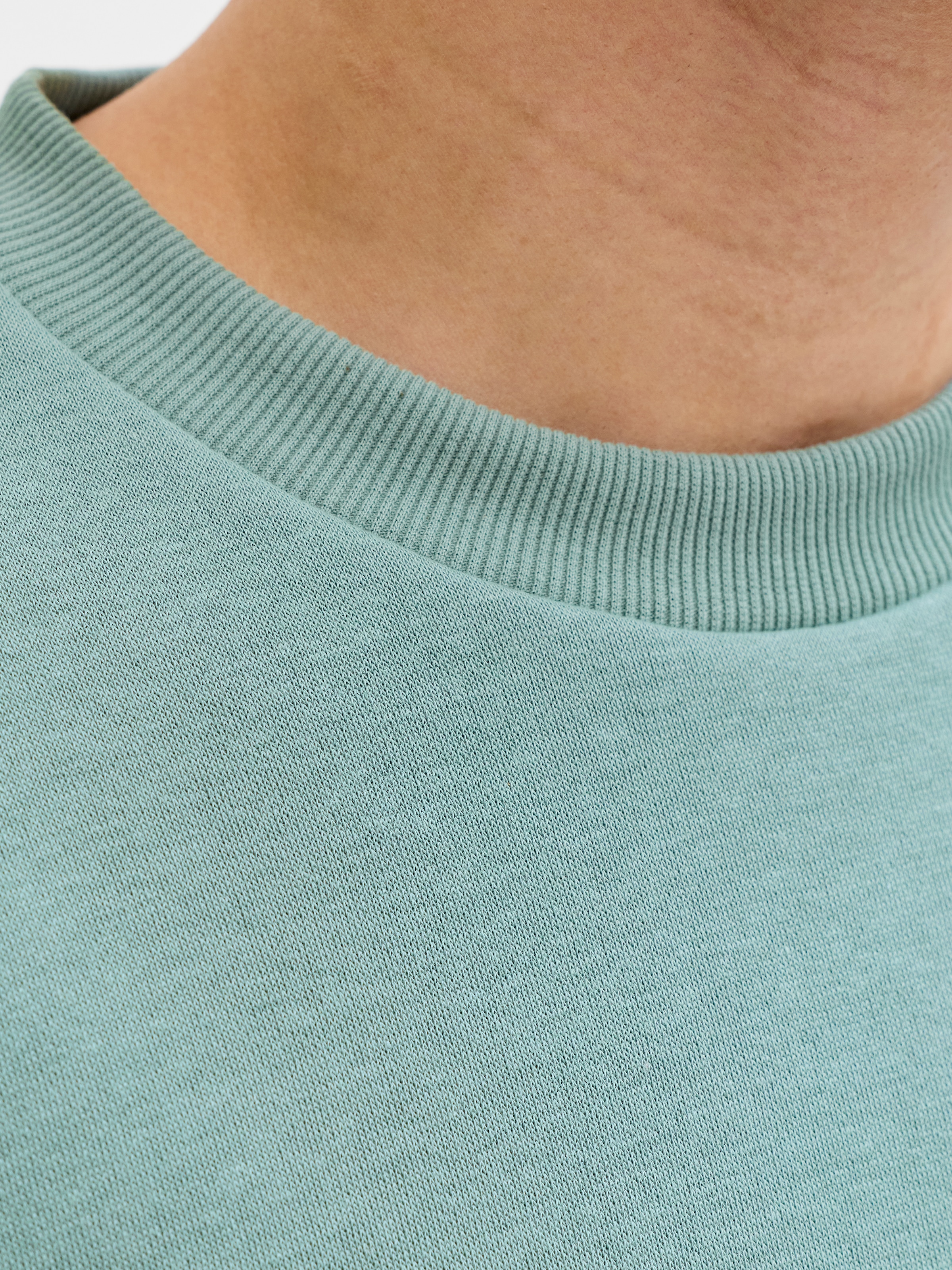 Jack & Jones PlusSize Sweatshirt »JJEBRADLEY SWEAT CREW NOOS PLS«, mit Rippbündchen
