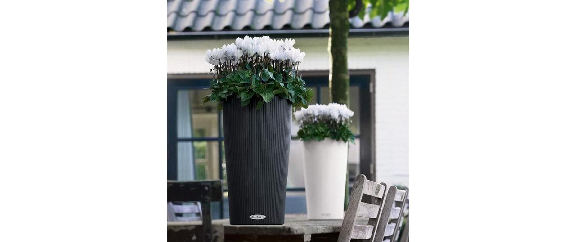   Bac à plantes »Lechuza CILINDRO Color 23«