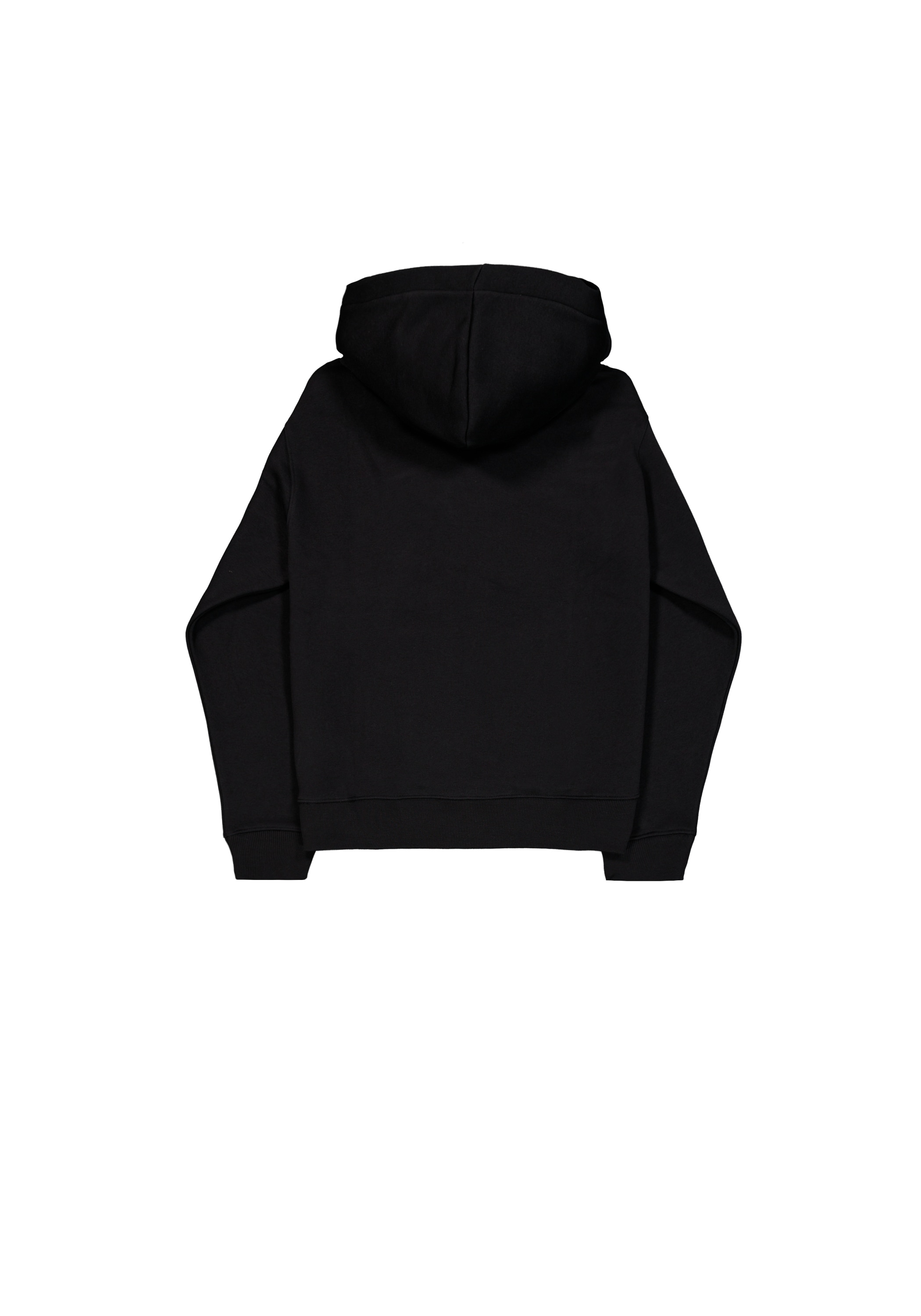 Alpha Industries Hoodie »Basic Hoodie SL TPU«

