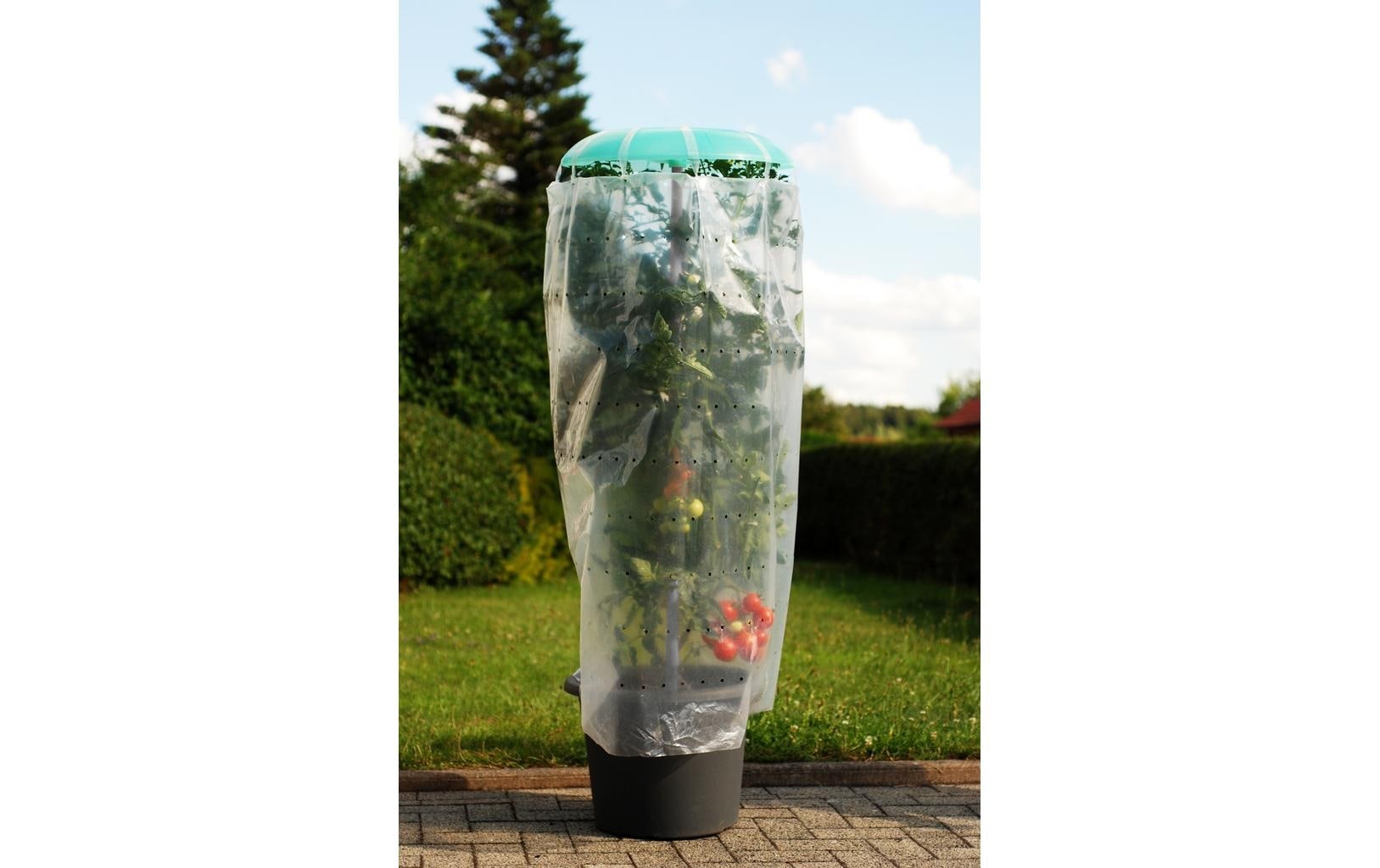 neogard Tomatengewächshaus »Tomatenhut«