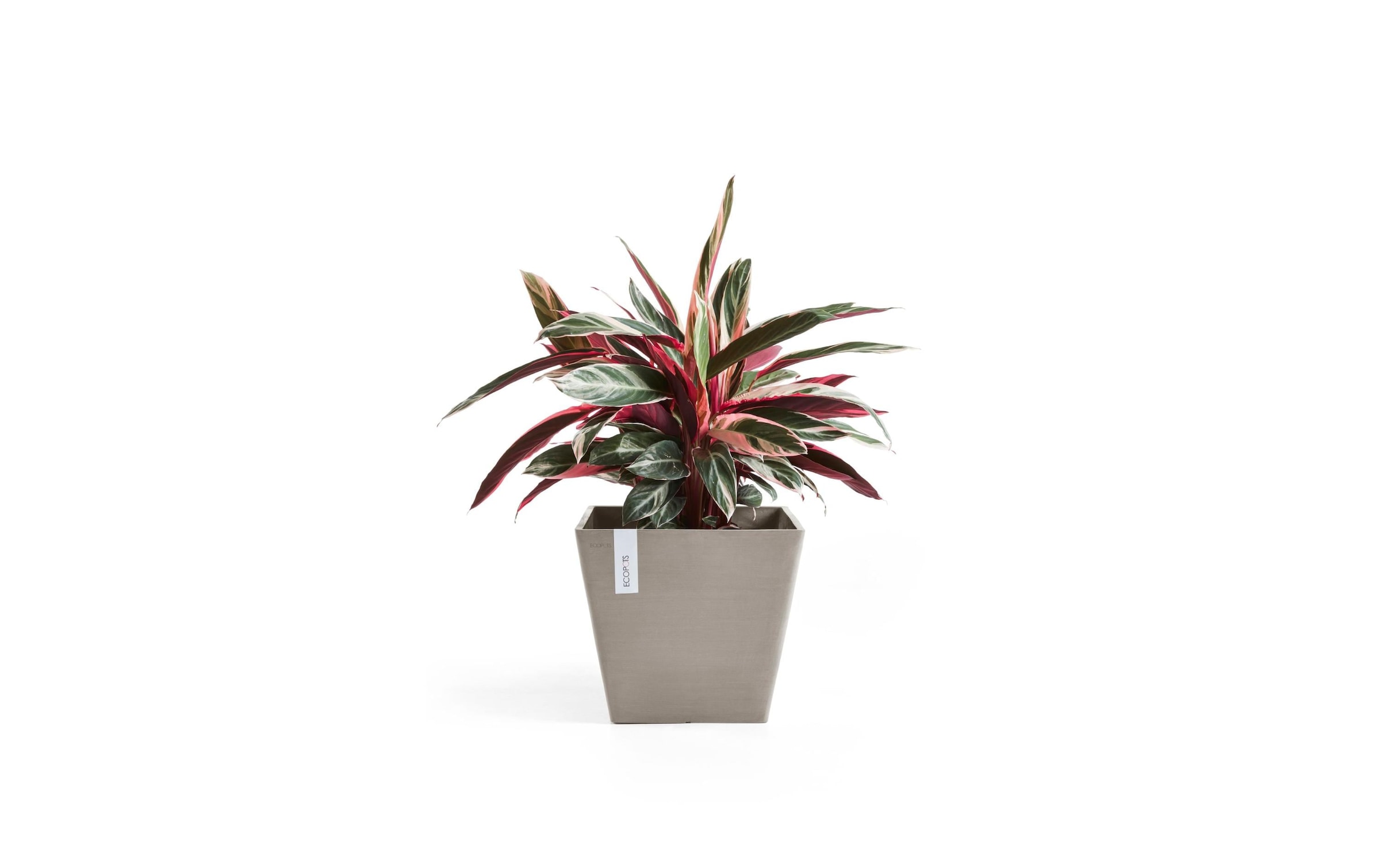   Pot de fleurs »Rotterdam«