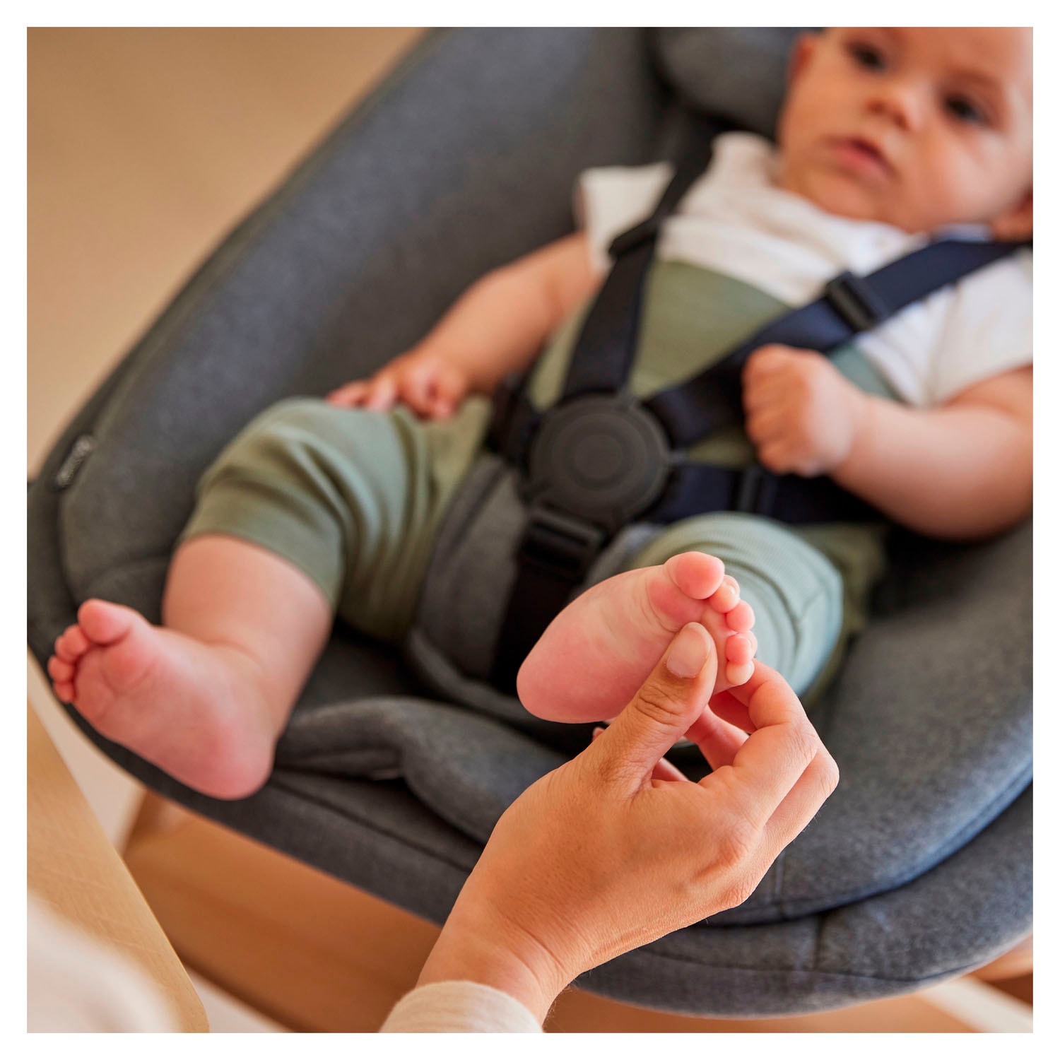 Hauck Transat pour bébé »Highchair Bouncer, Dark Grey Melange« bis 9 kilos für Alpha+, Beta+,  Arketa