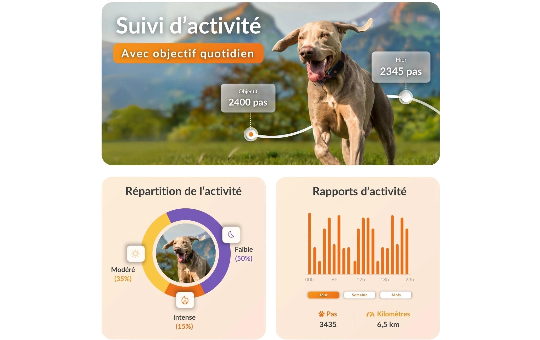   GPS-Hundetracker »Weenect für Hunde XT mit Halsband«