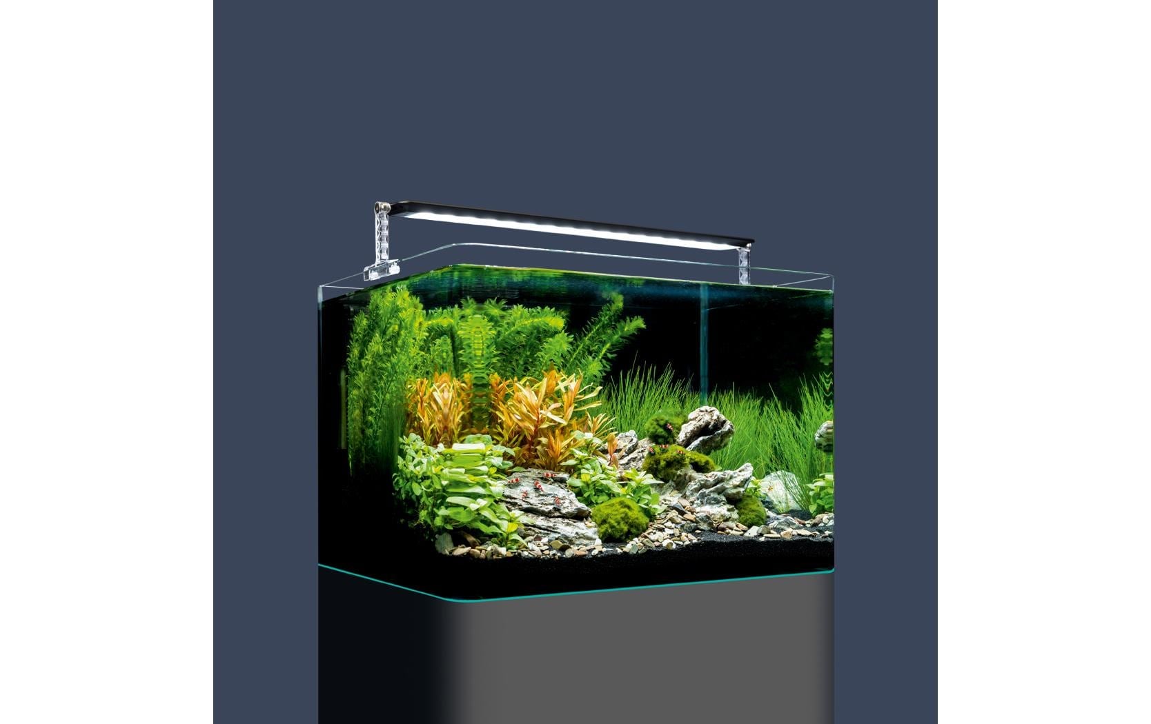 DENNERLE Set aquarium »Nano Tank Plant Pro, 35 l«