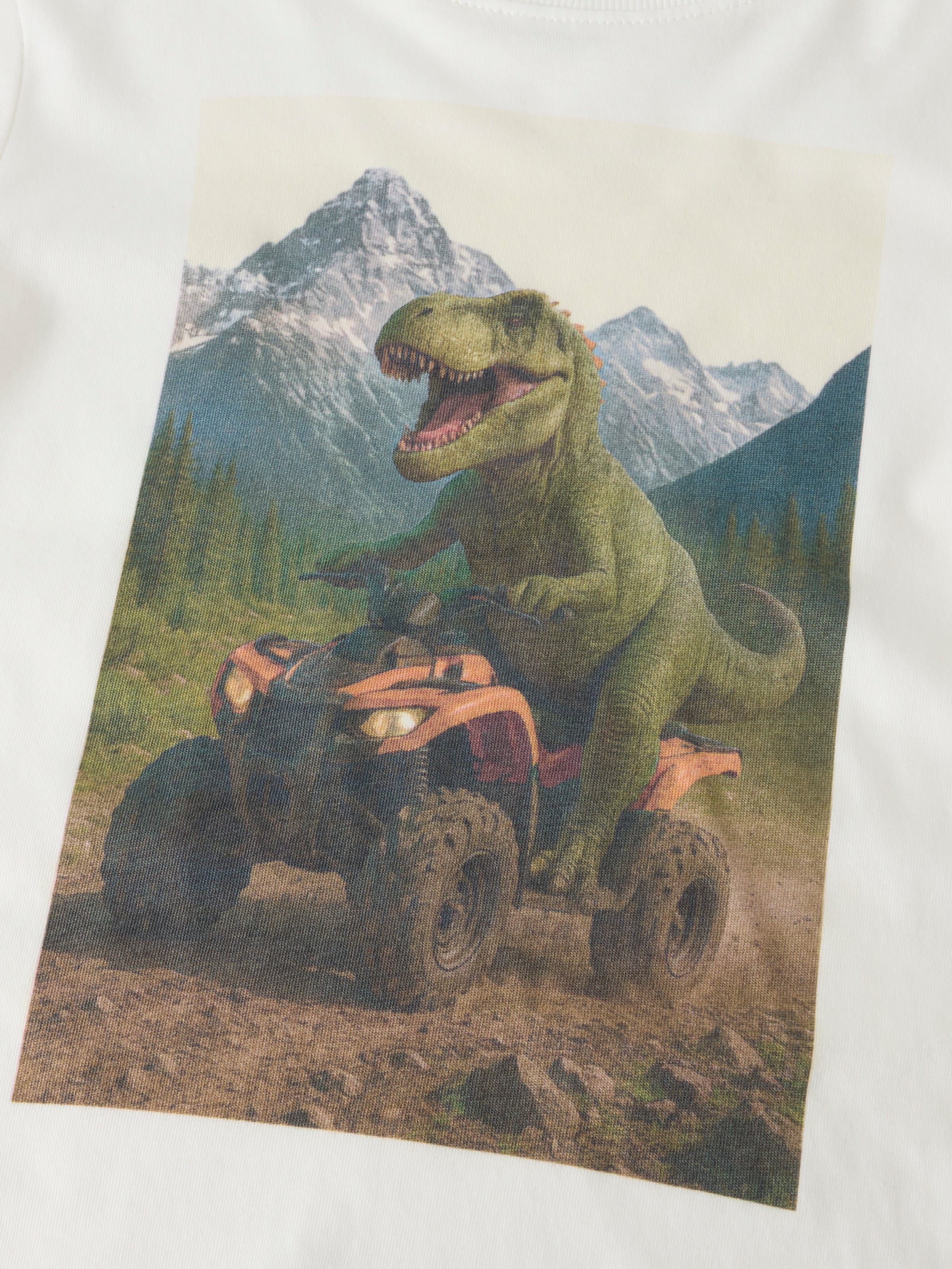Name It Langarmshirt »NMMVOTO LS NREG TOP« Baumwolle, regular fit