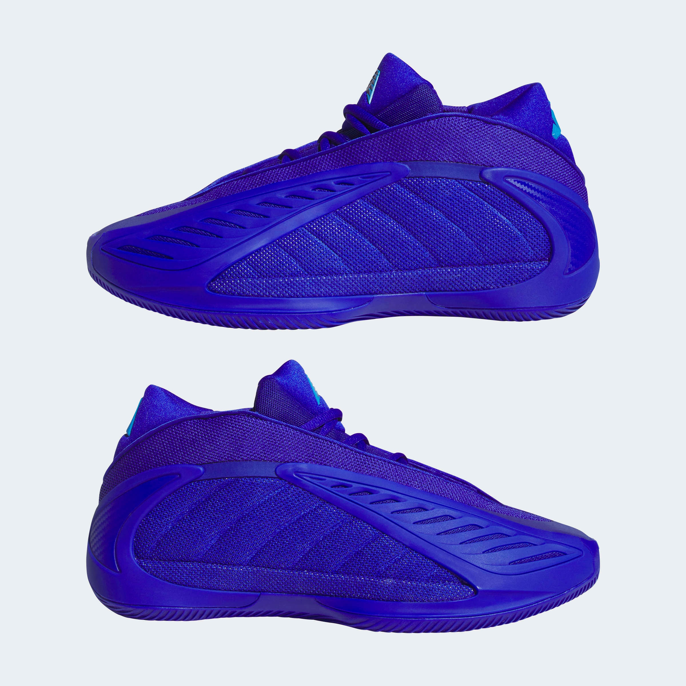 adidas Performance Chaussure de basket »ANTHONY EDWARDS 2«