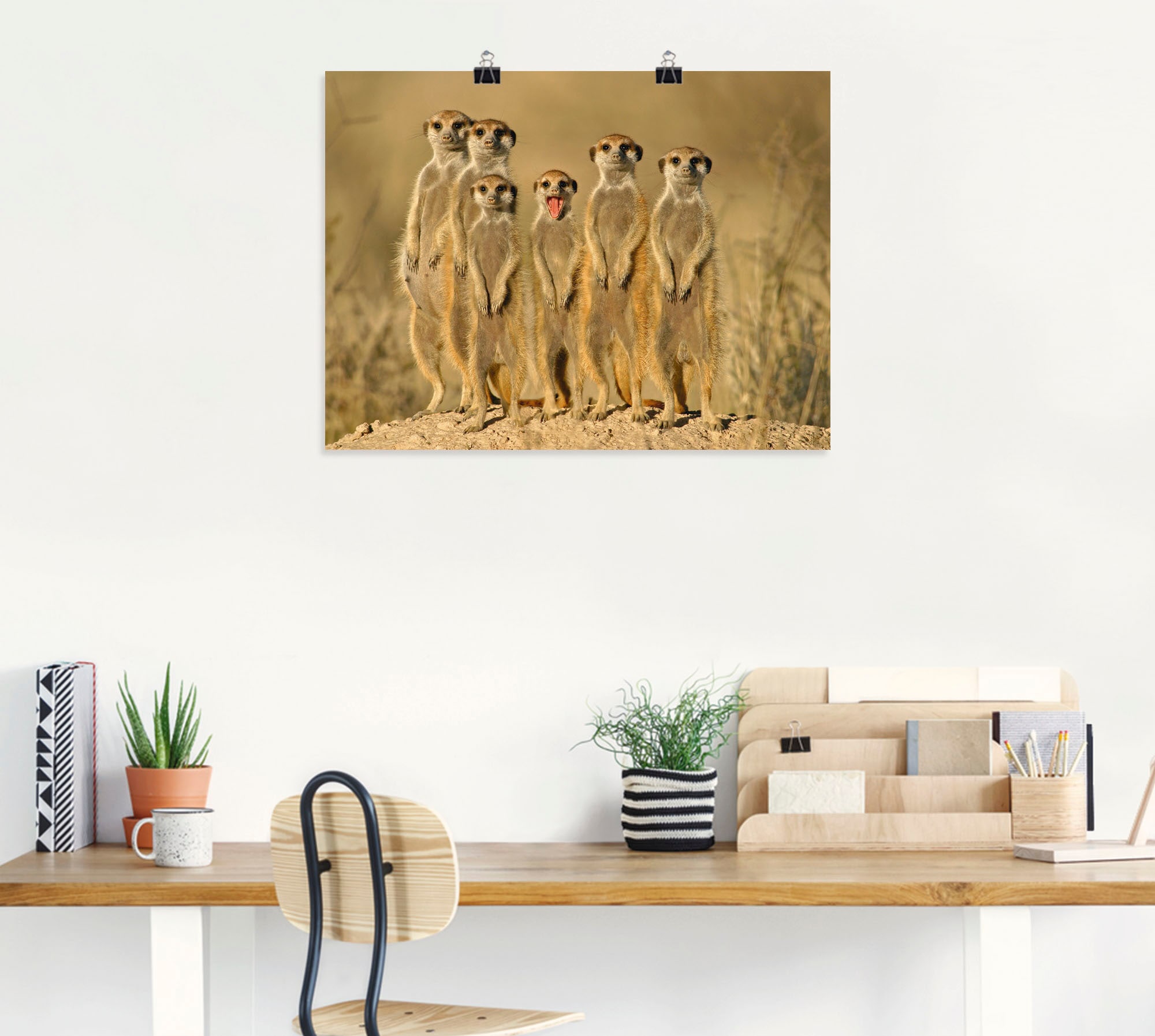 Artland Wandbild »Erdmännchen Familie« Wildtiere 1 Stk. tlg. als Poster in verschied. Grössen