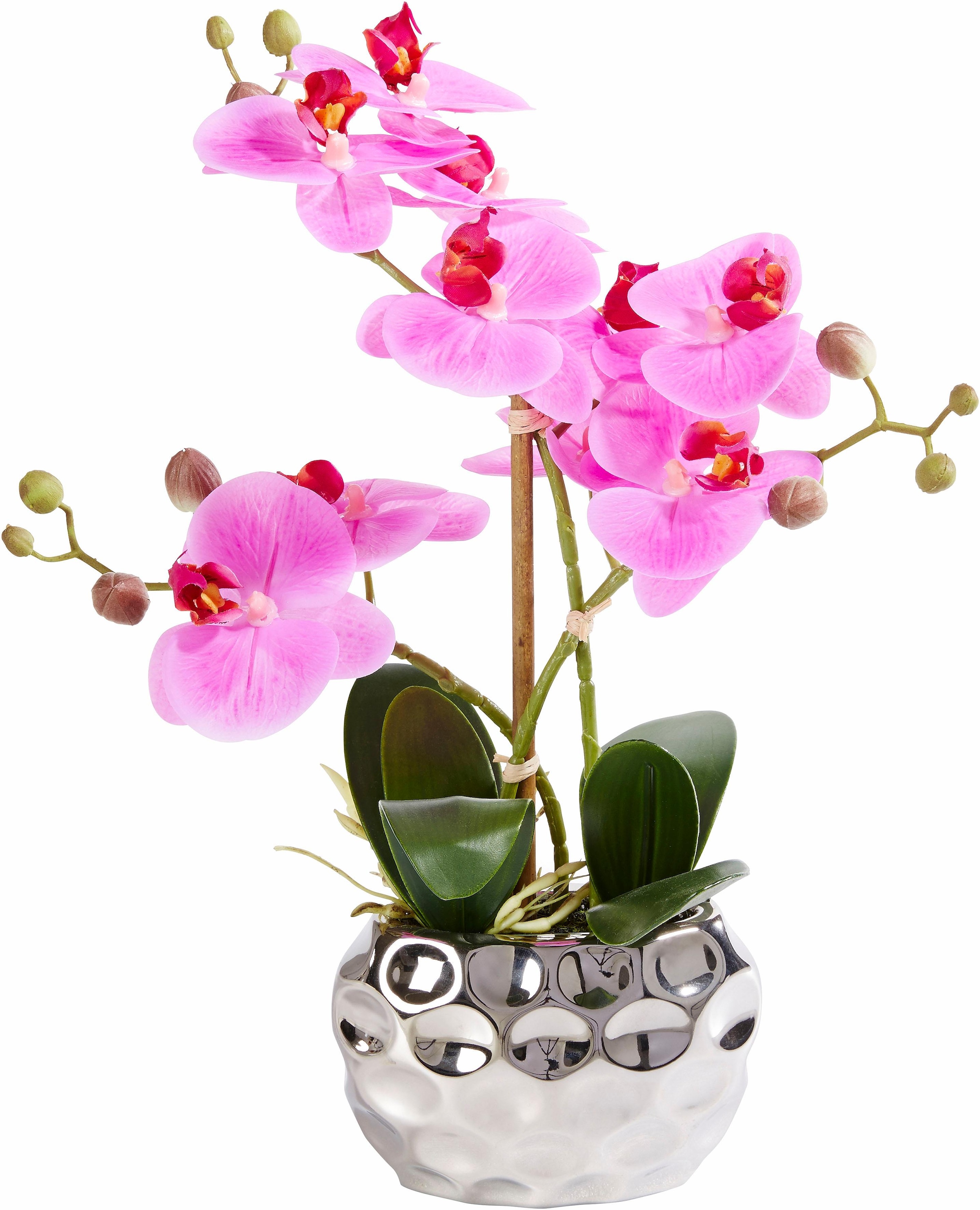 Leonique Plante artificielle »Orchidee« Kunstorchidee, im Topf, Bestseller, über 2500 4,5-Sterne-Bewertungen