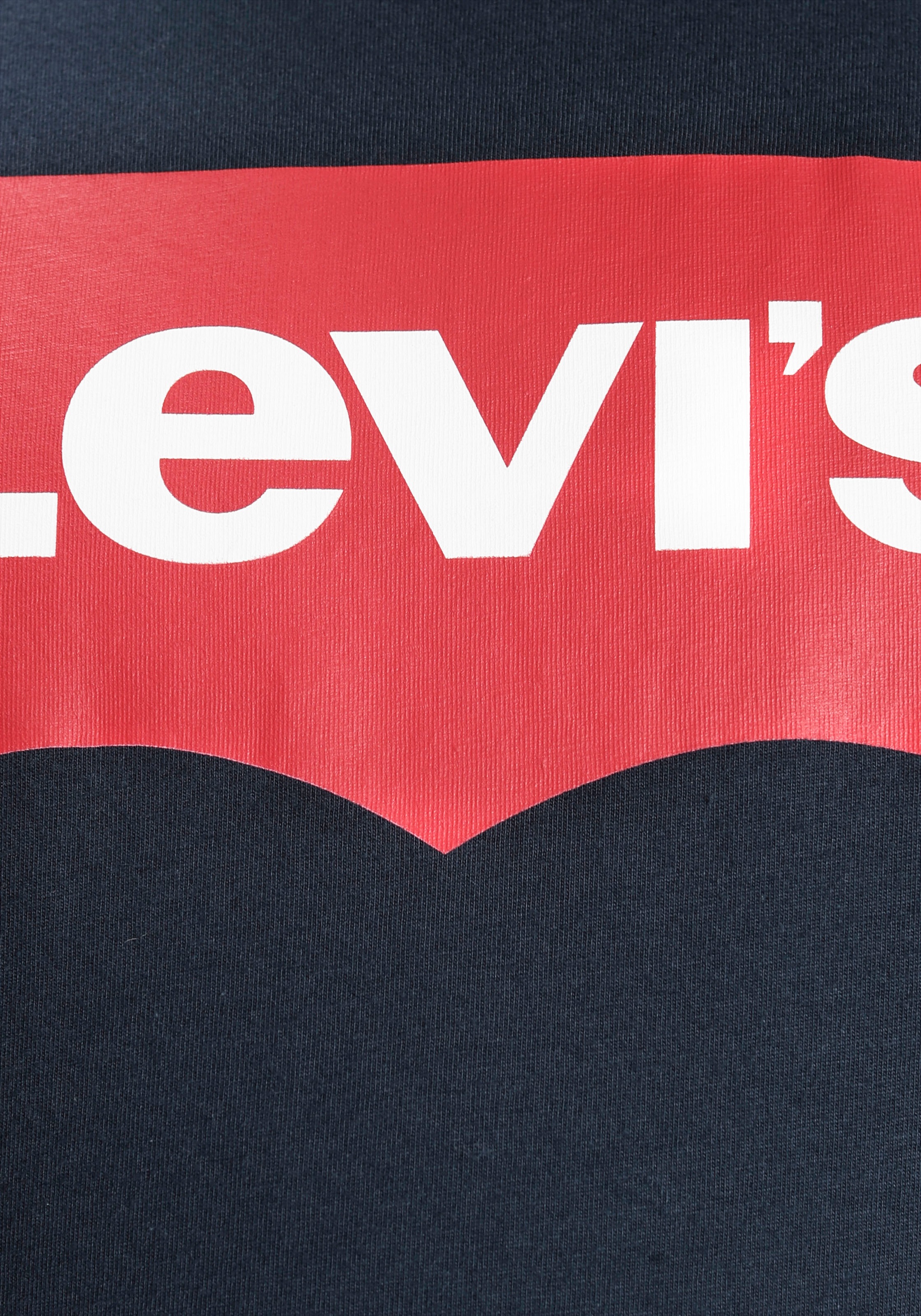 Levi's® Plus T-shirt »LE B&T BIG GRAPHIC TEE« mit Logofrontprint